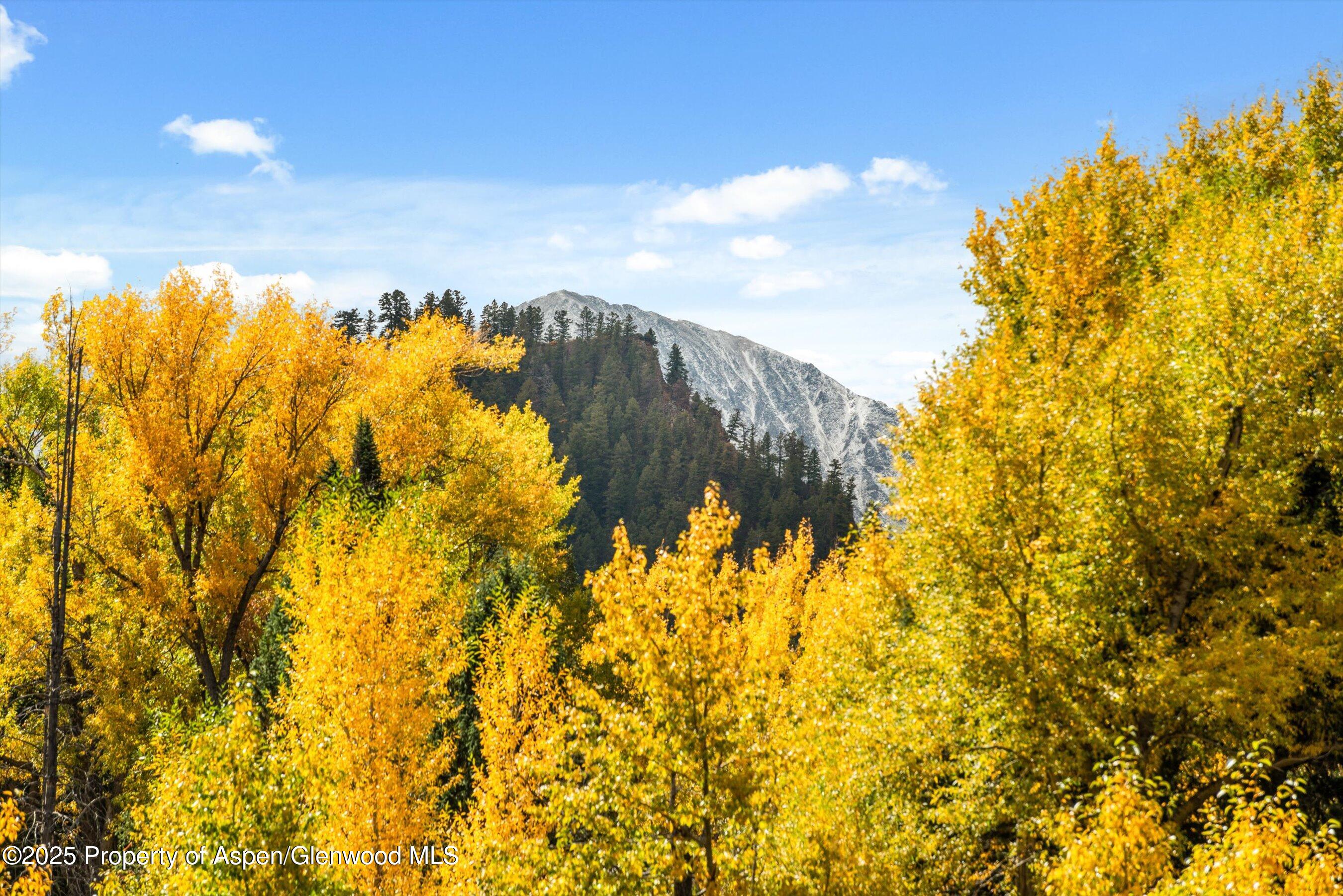 1894 CASTLE CREEK Road