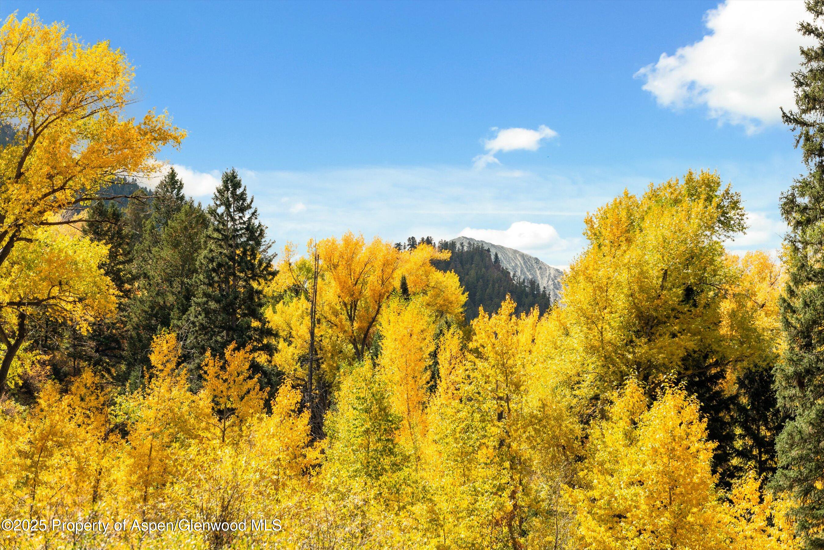 1894 CASTLE CREEK Road