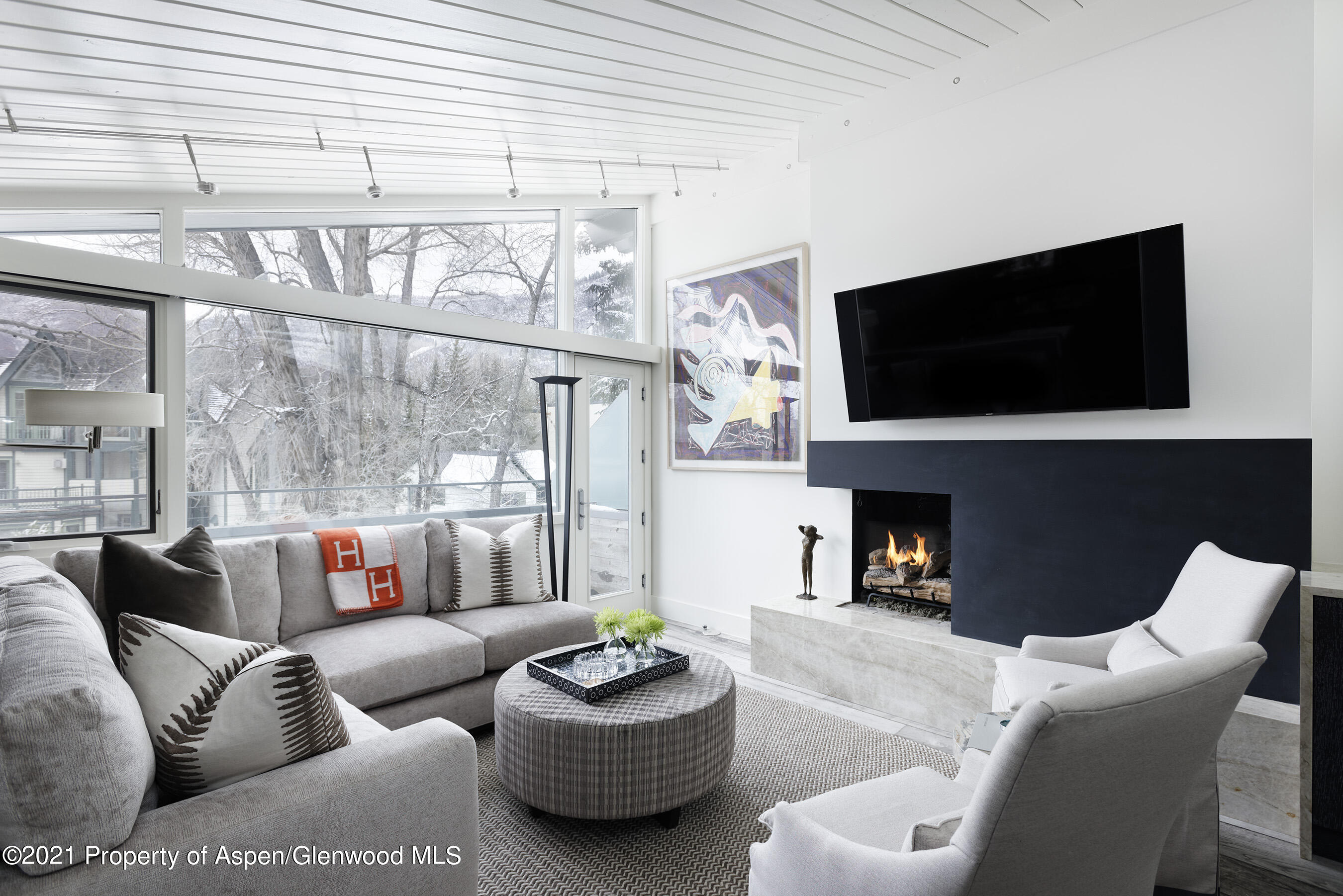 1001 E Cooper Avenue, 2, Aspen Unit: 2