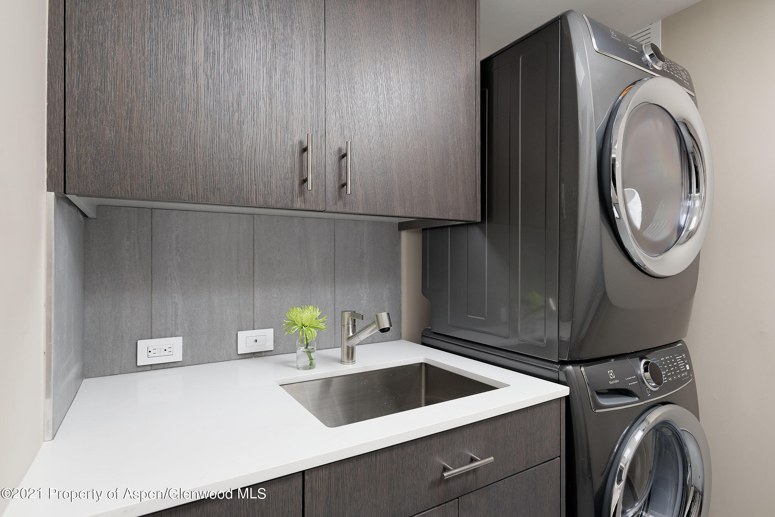 1001 E Cooper Avenue, 2, Aspen Unit: 2