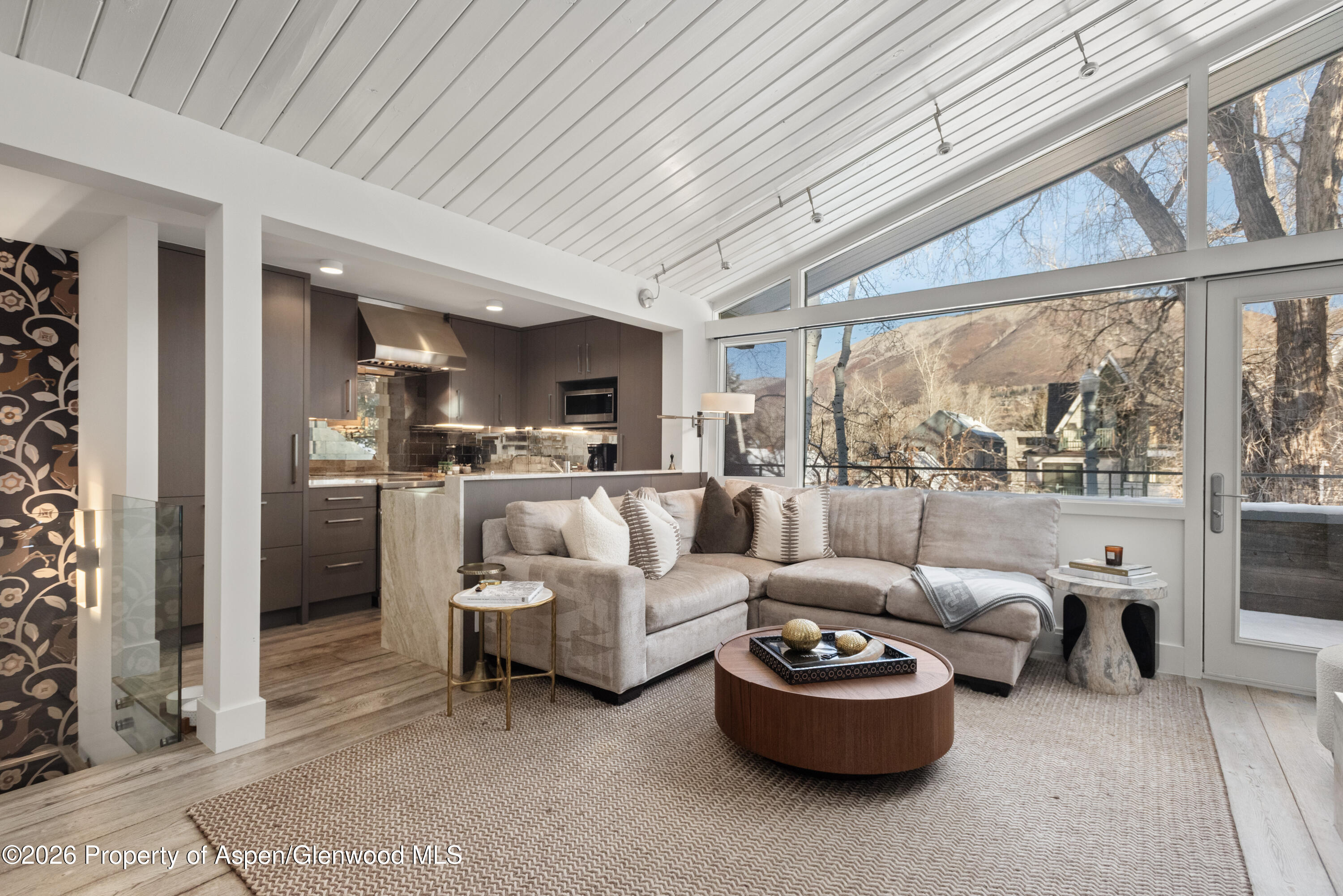 1001 E Cooper Avenue, 2, Aspen Unit: 2