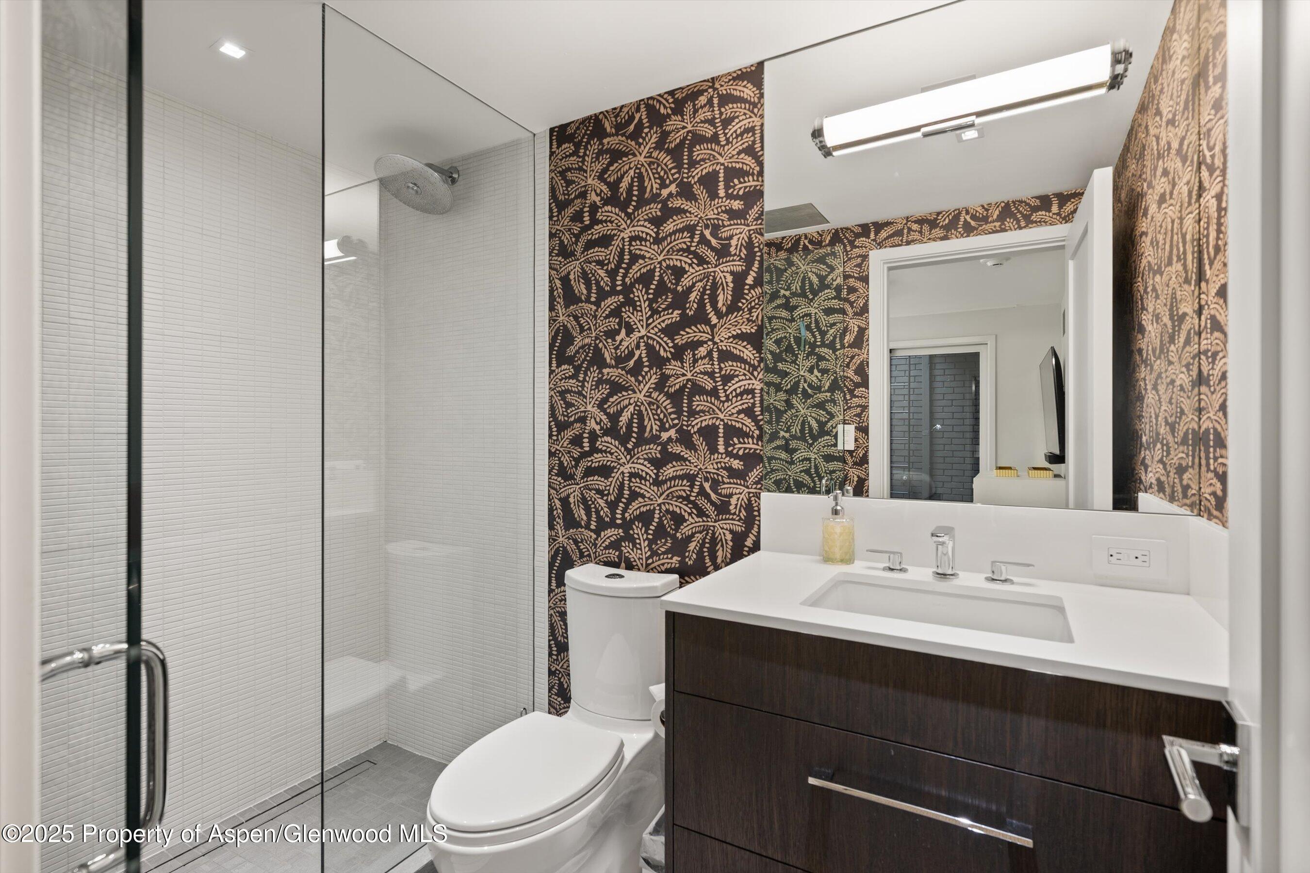 1001 E Cooper Avenue, 2, Aspen Unit: 2