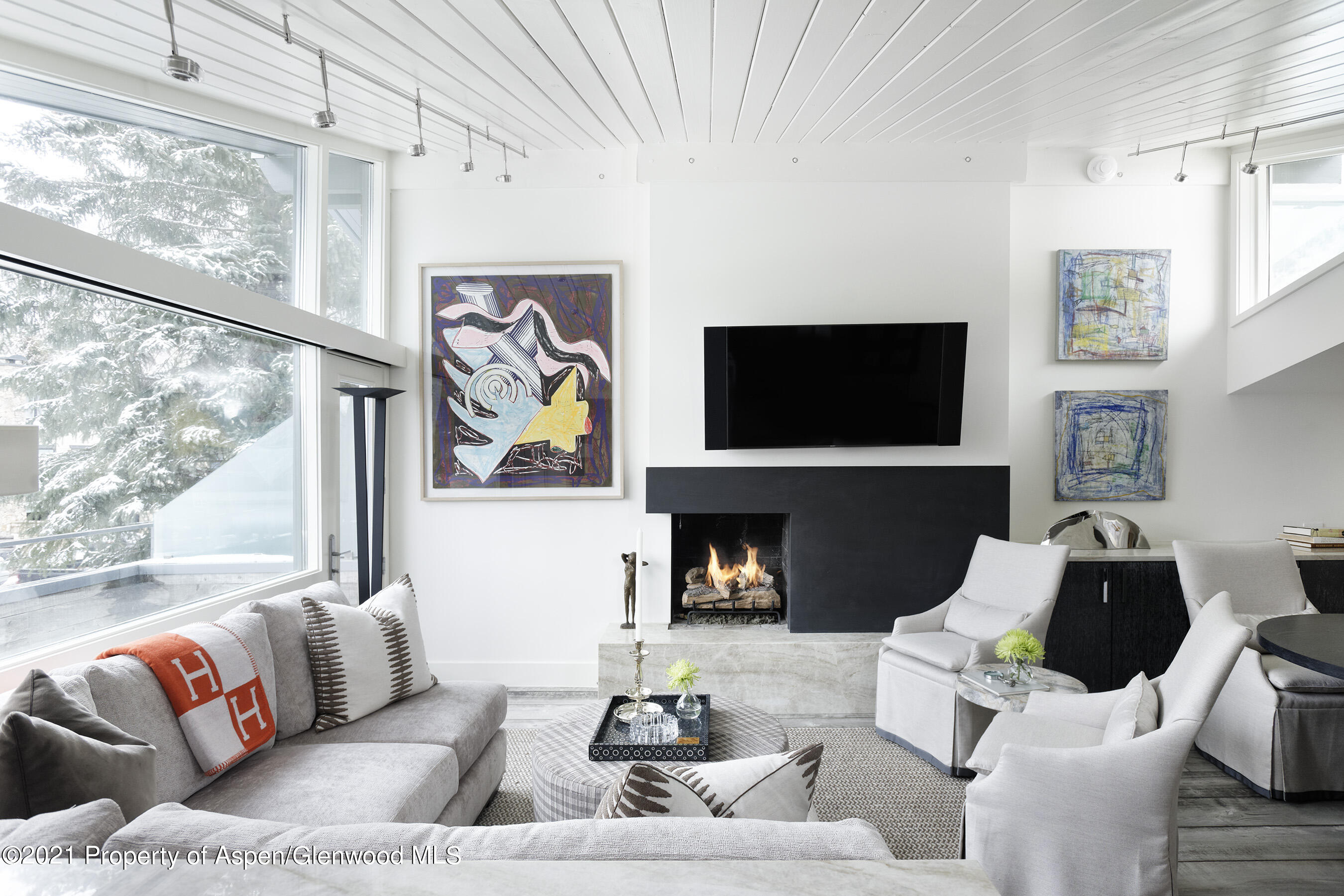 1001 E Cooper Avenue, 2, Aspen Unit: 2