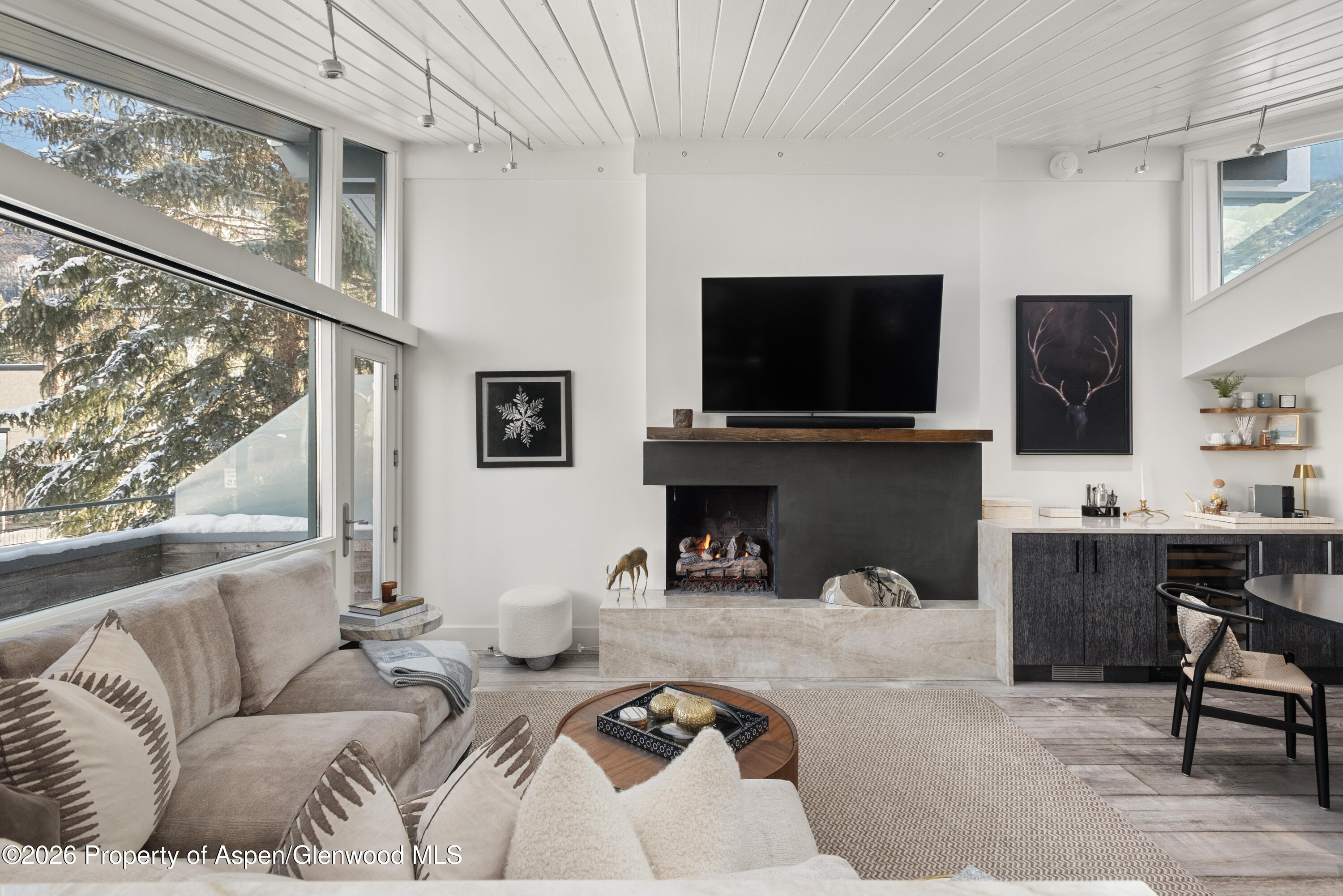 1001 E Cooper Avenue, 2, Aspen Unit: 2