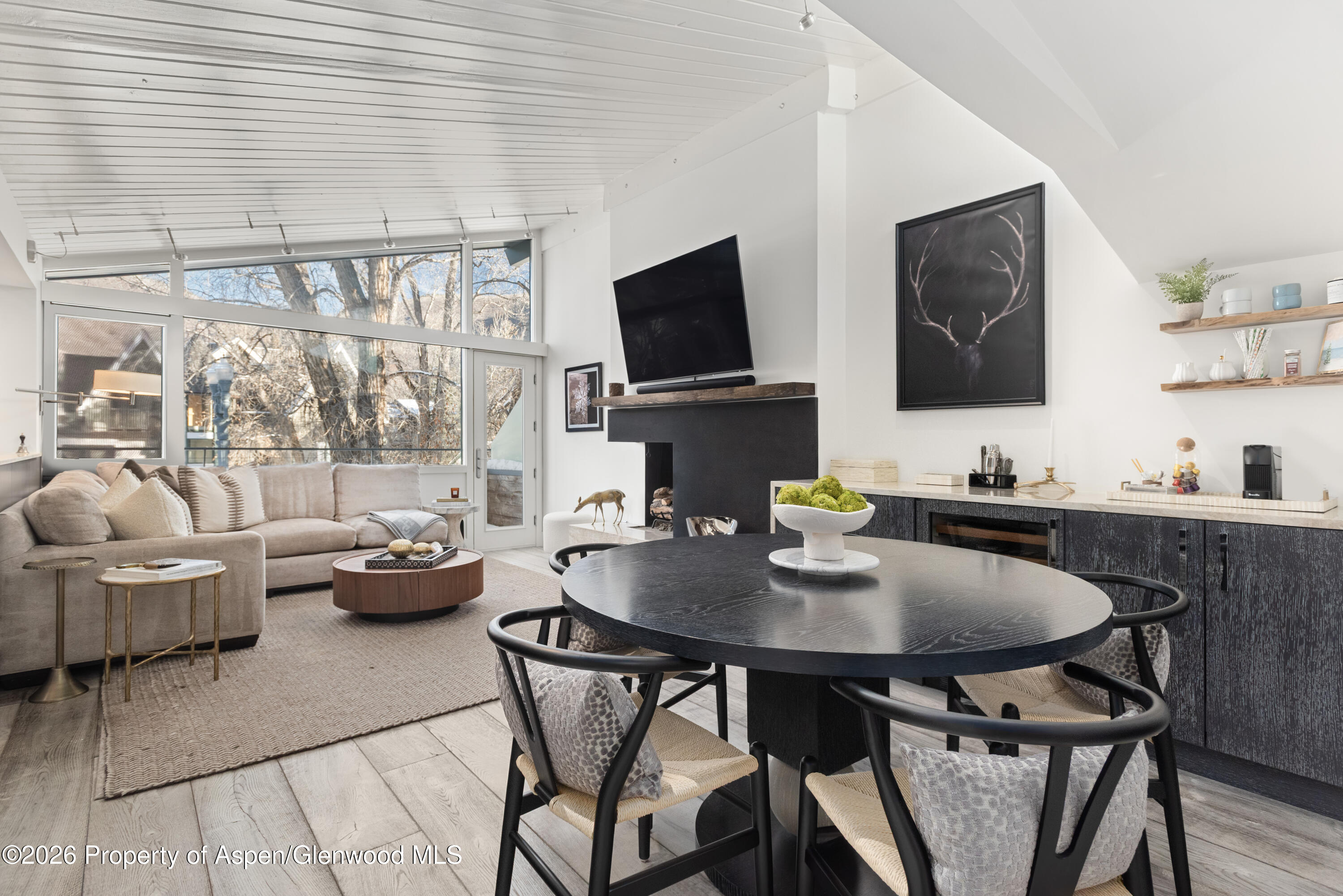 1001 E Cooper Avenue, 2, Aspen Unit: 2