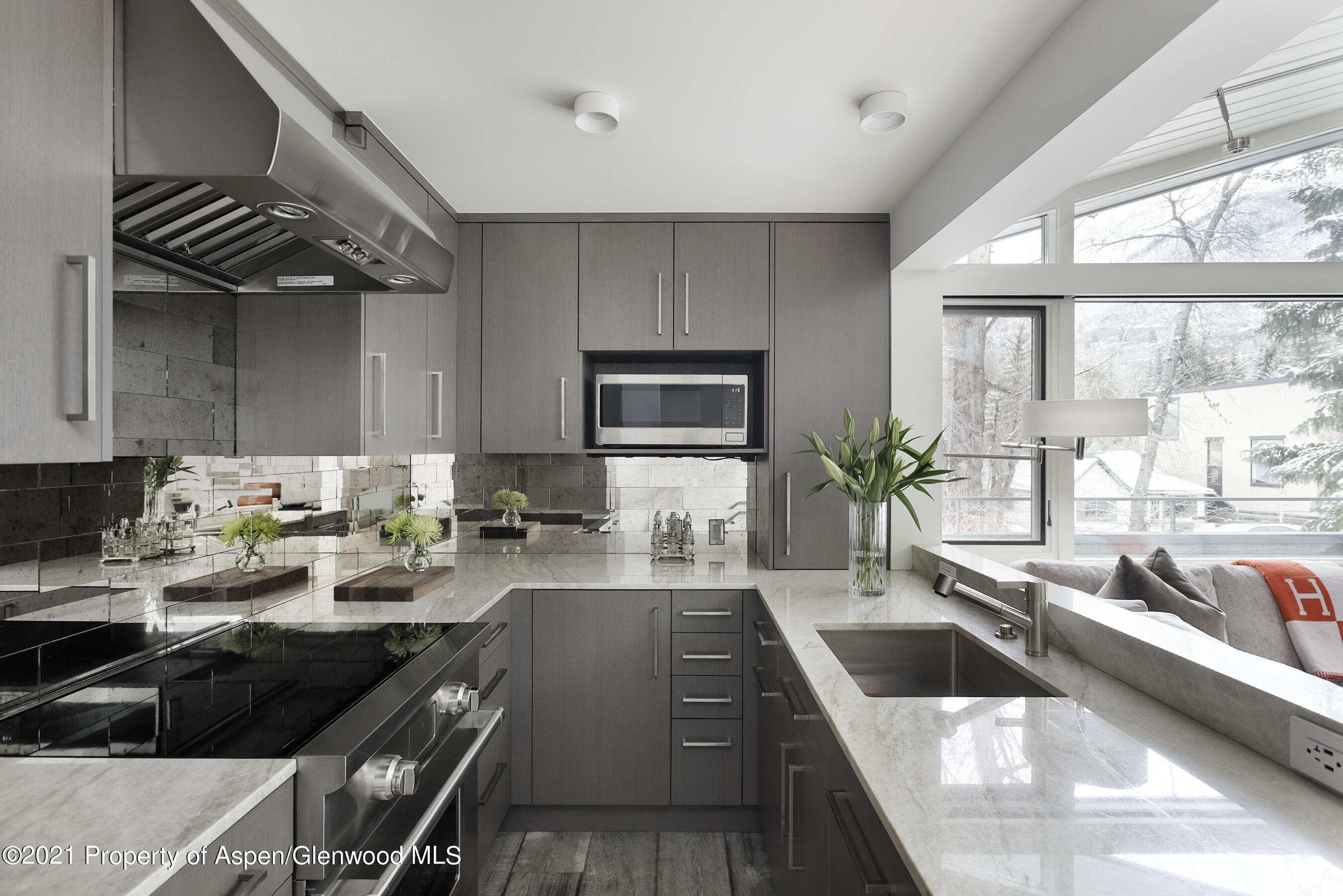 1001 E Cooper Avenue, 2, Aspen Unit: 2