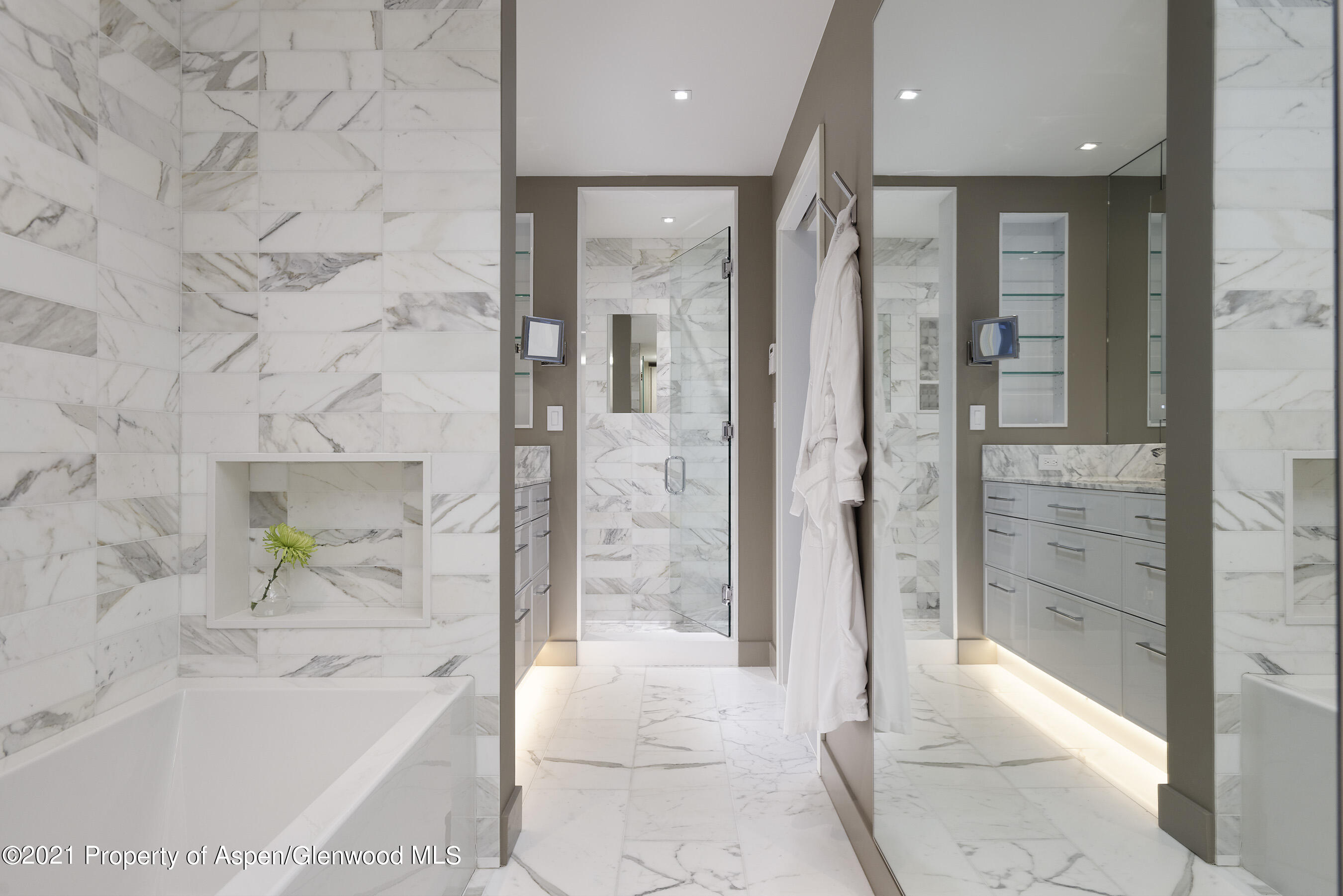 1001 E Cooper Avenue, 2, Aspen Unit: 2