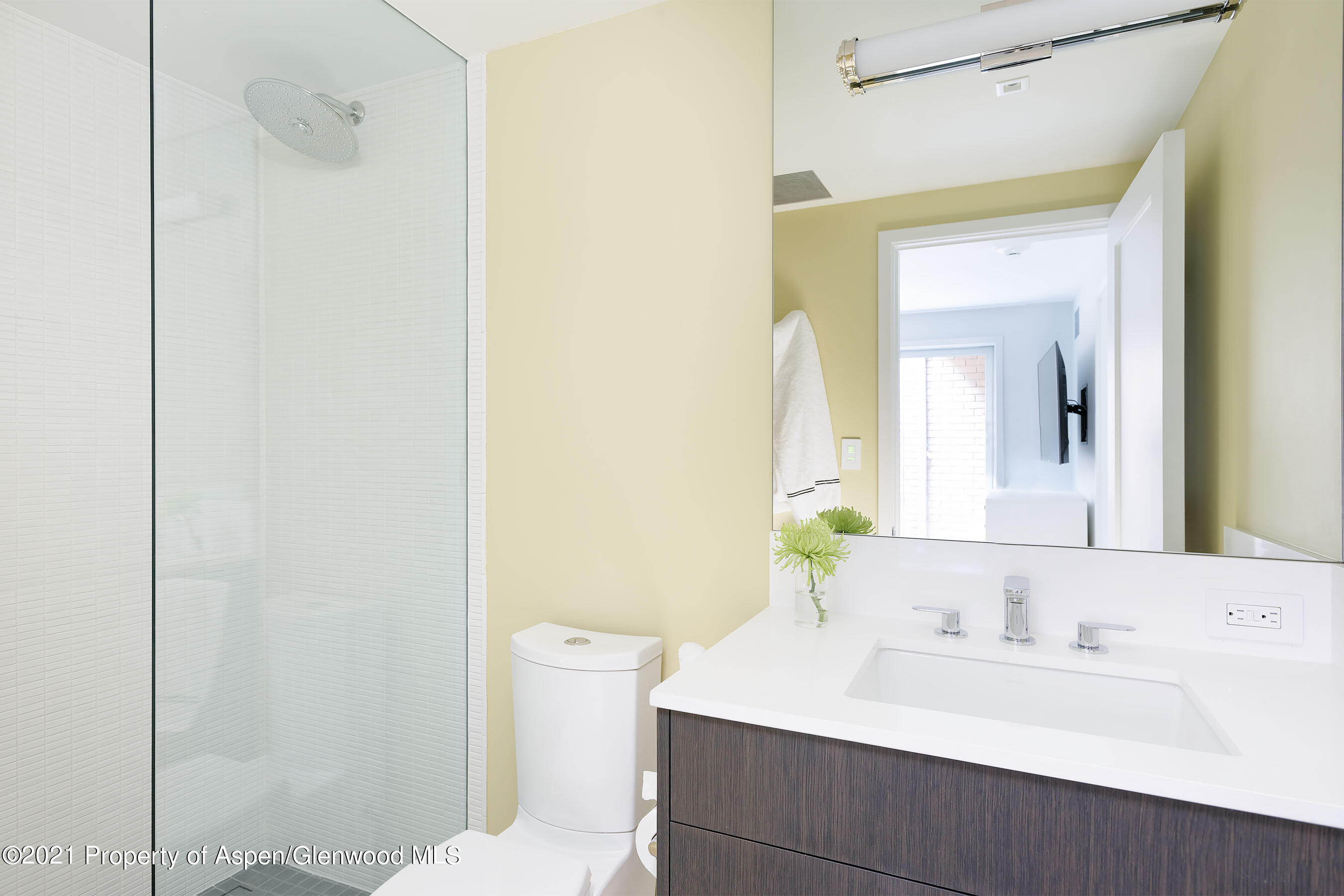 1001 E Cooper Avenue, 2, Aspen Unit: 2