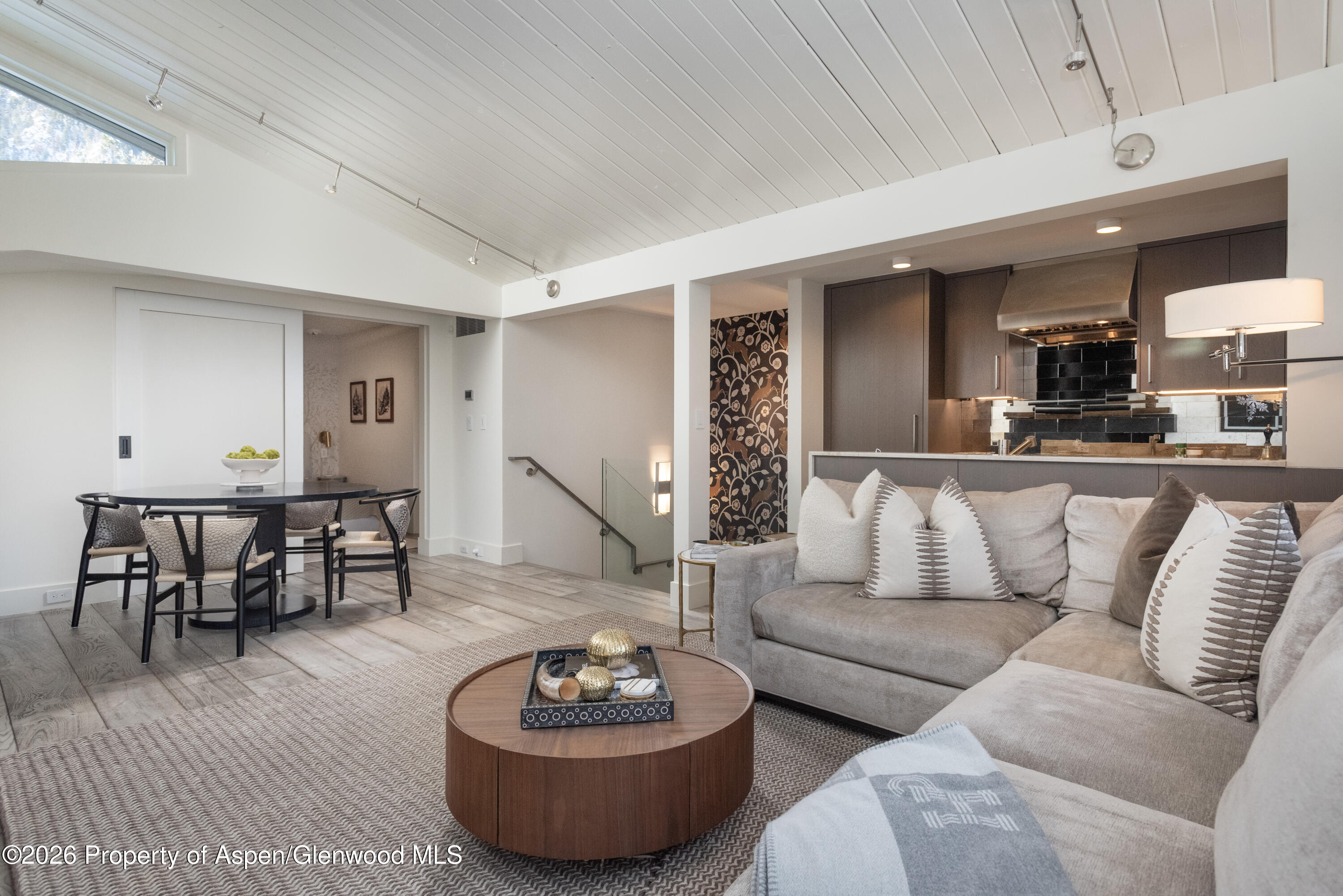 1001 E Cooper Avenue, 2, Aspen Unit: 2