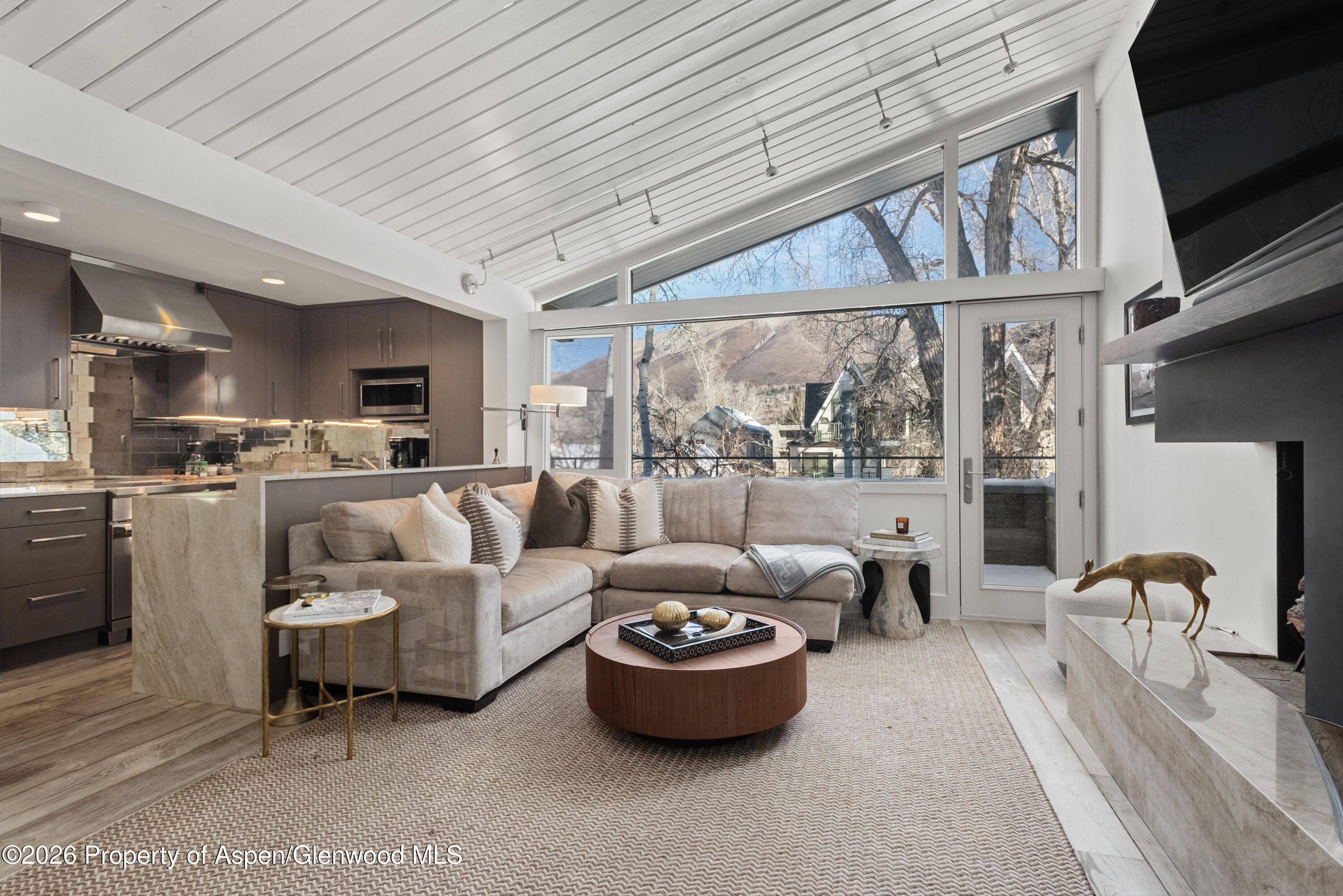 1001 E Cooper Avenue, 2, Aspen Unit: 2