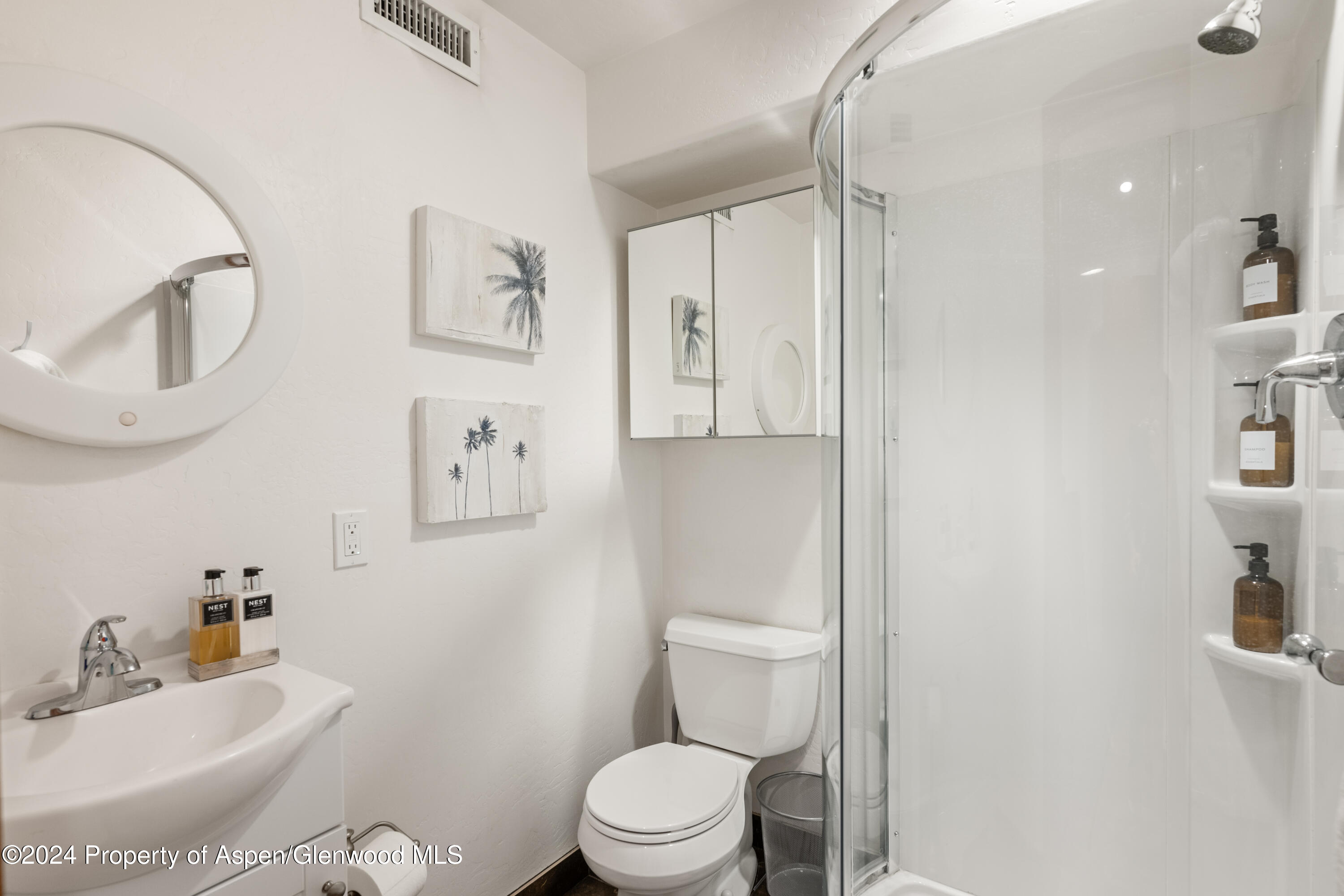 630 W Sopris Creek Road