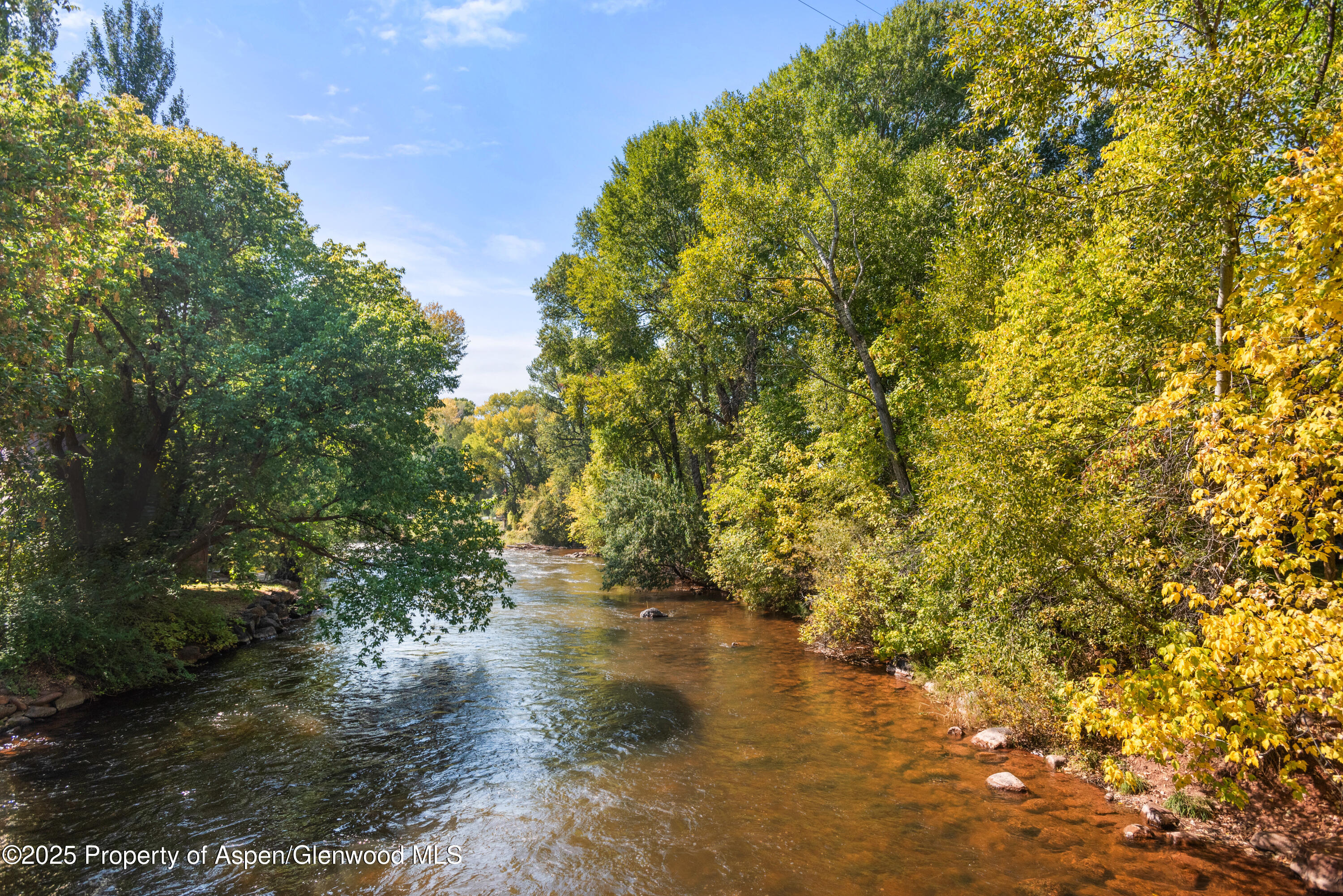 227 Midland Avenue, #24