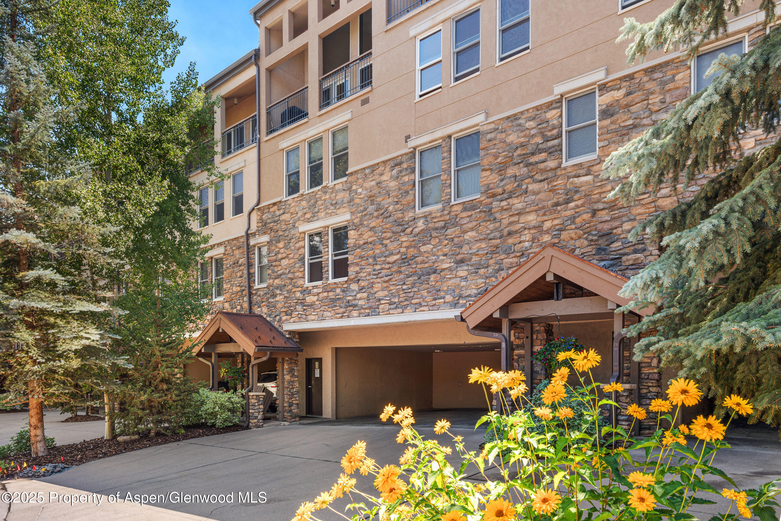 425 Wood Road, 13