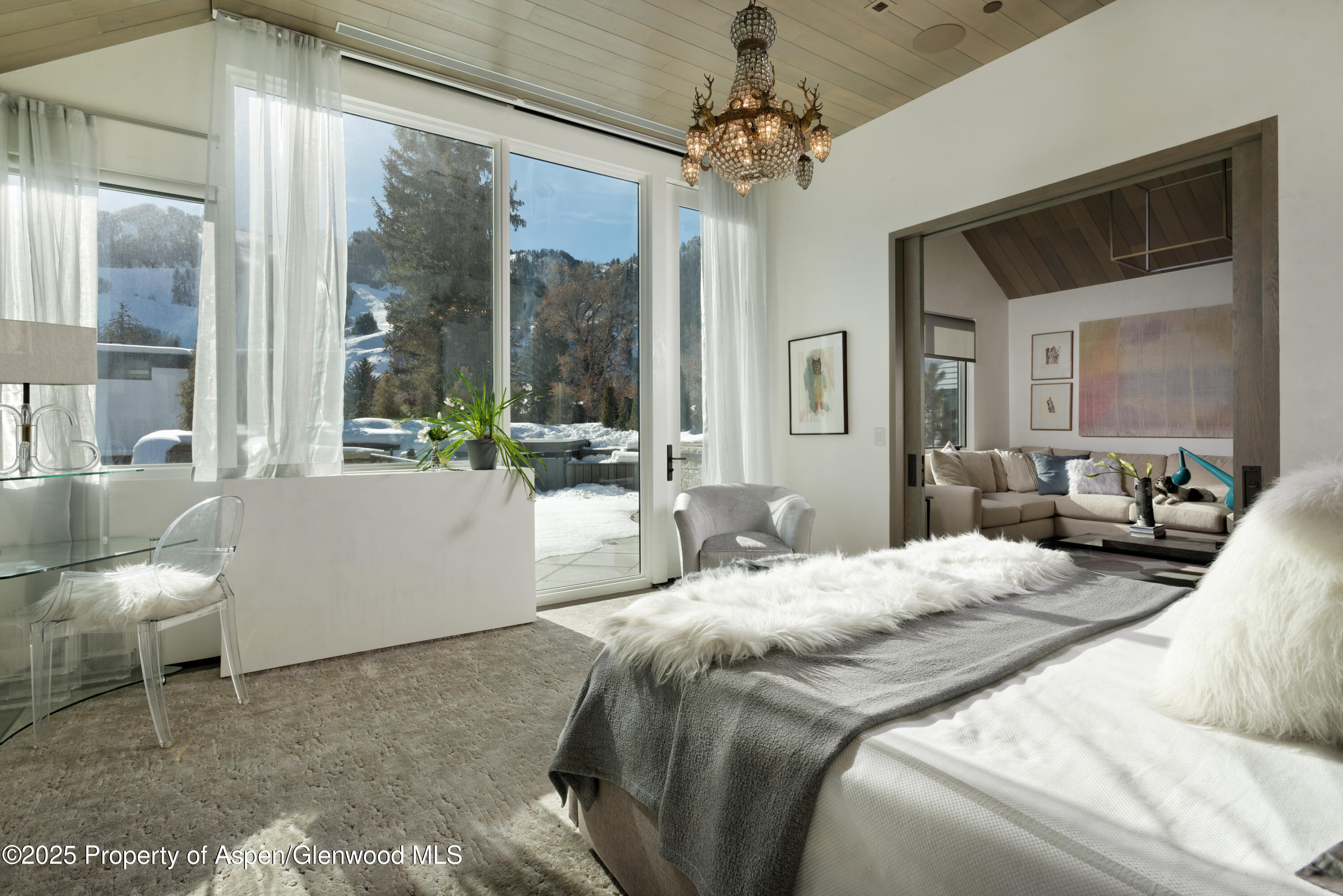 219 N Monarch Street, Aspen