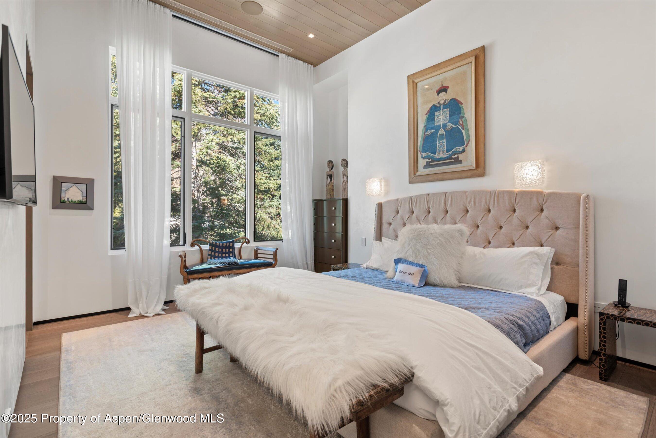 219 N Monarch Street, Aspen