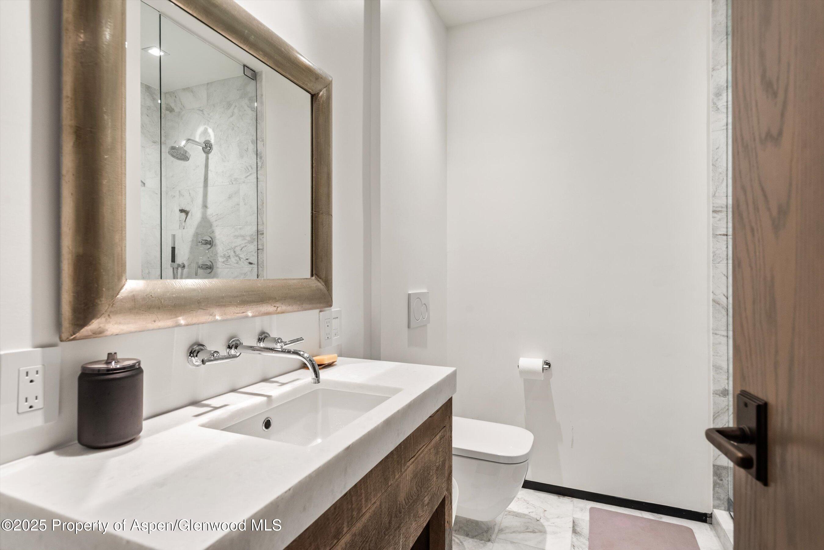 219 N Monarch Street, Aspen