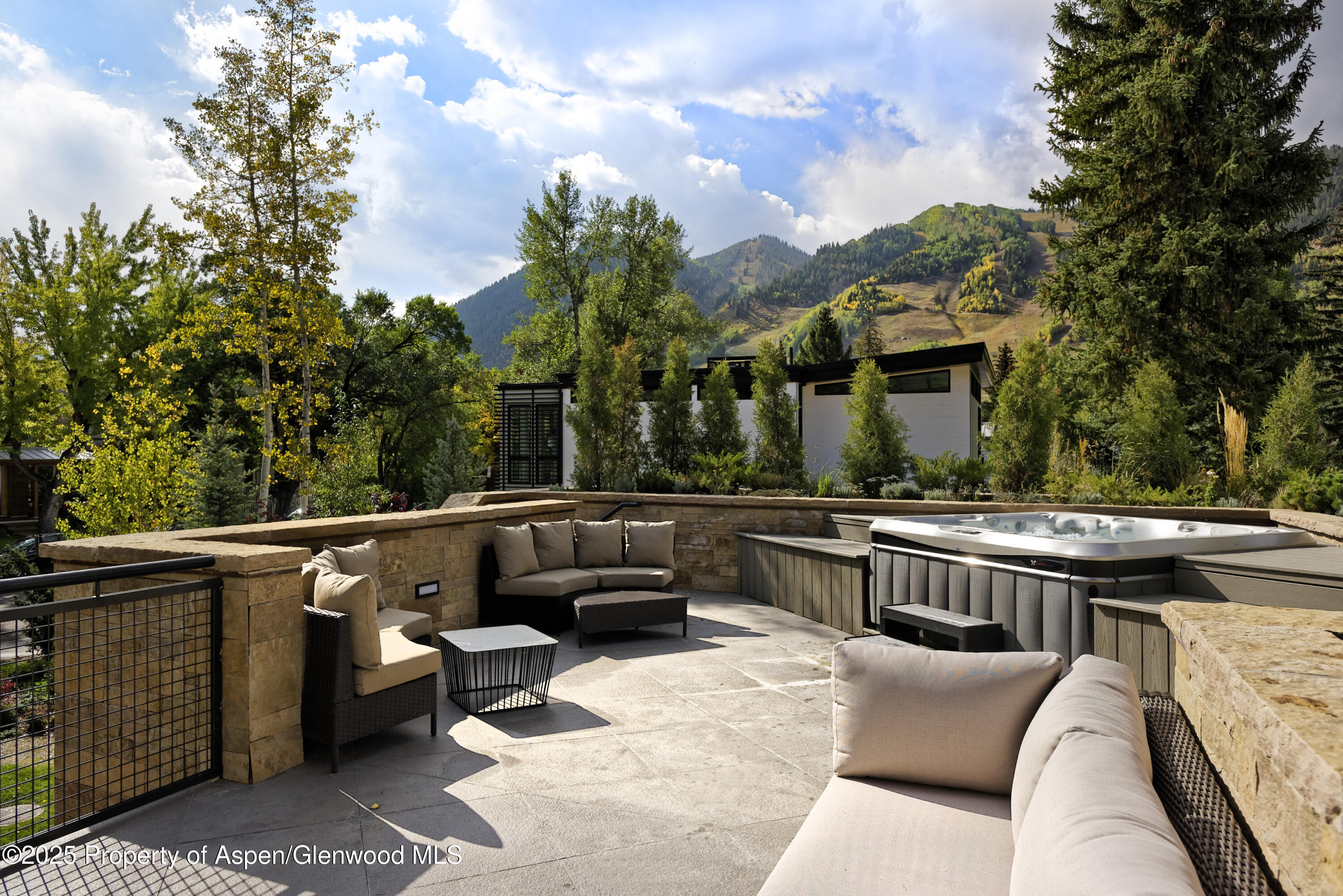 219 N Monarch Street, Aspen