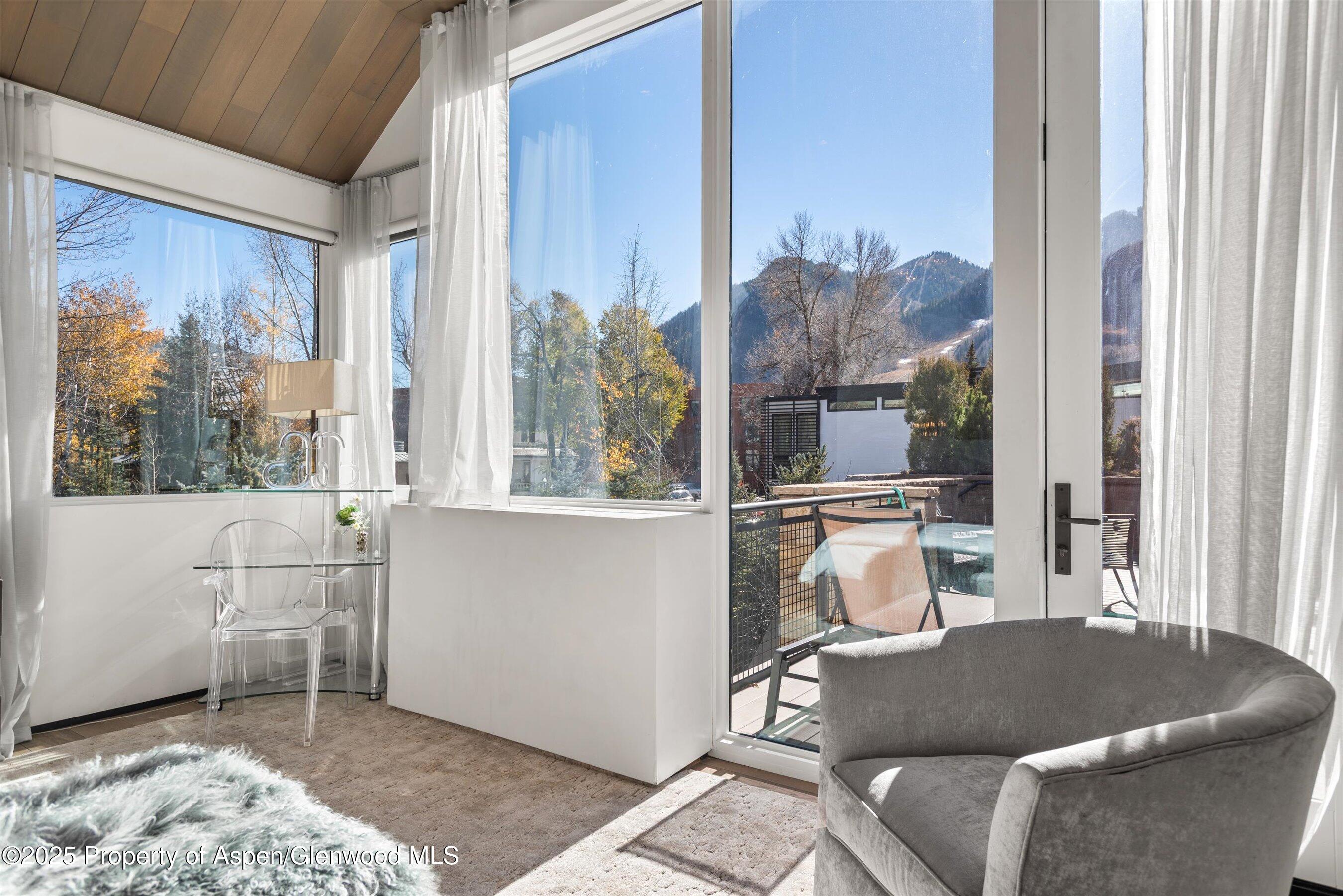 219 N Monarch Street, Aspen