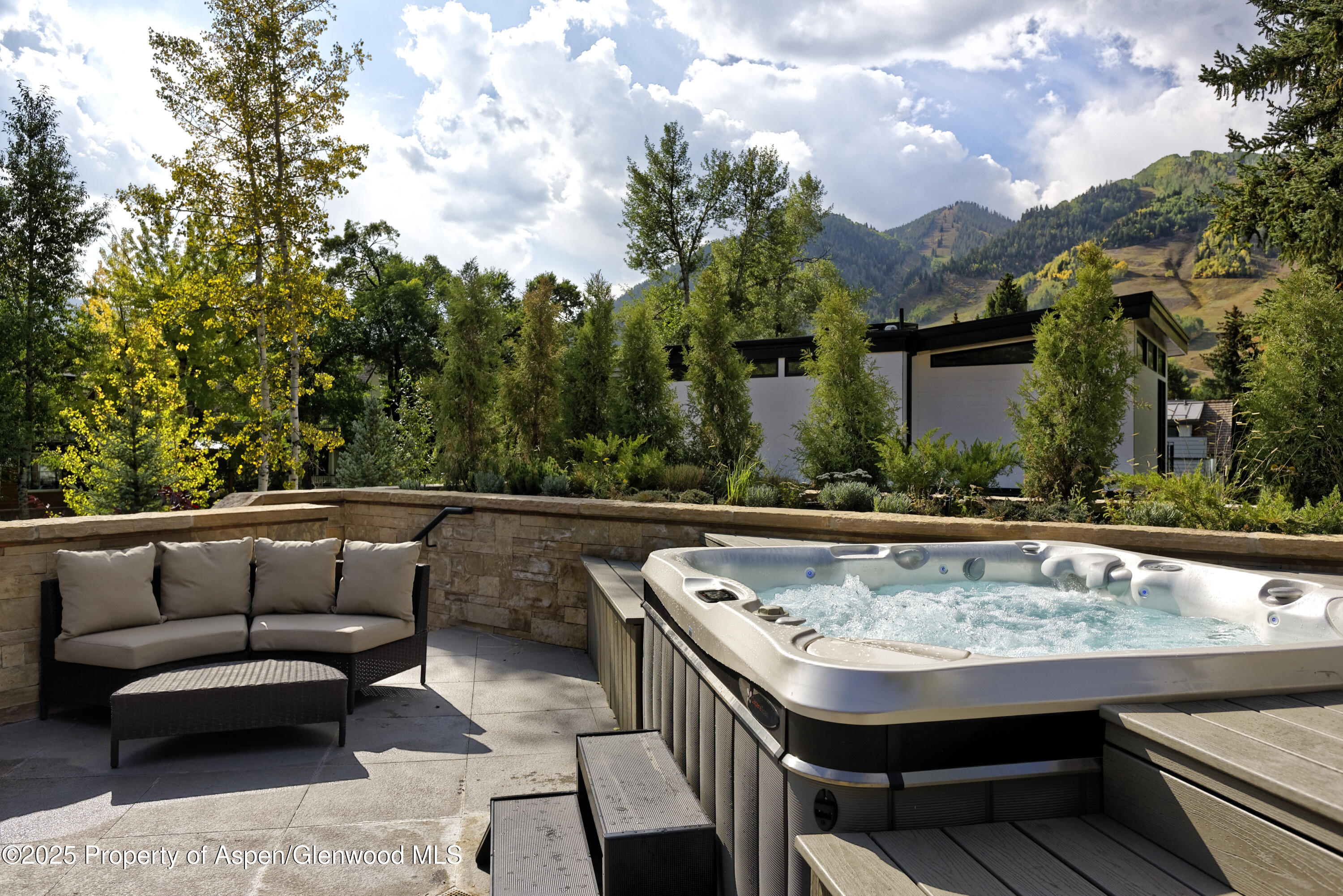 219 N Monarch Street, Aspen