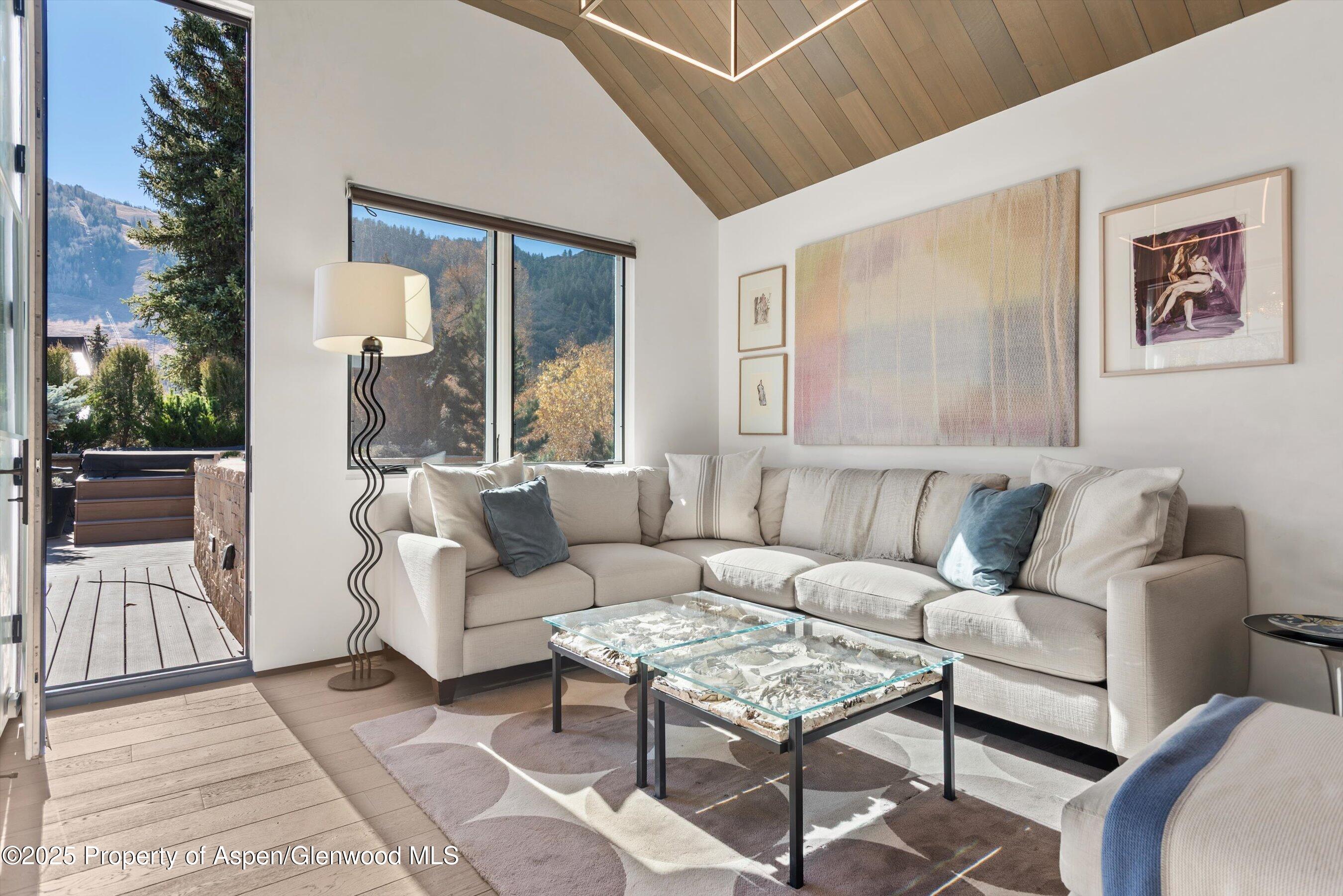 219 N Monarch Street, Aspen