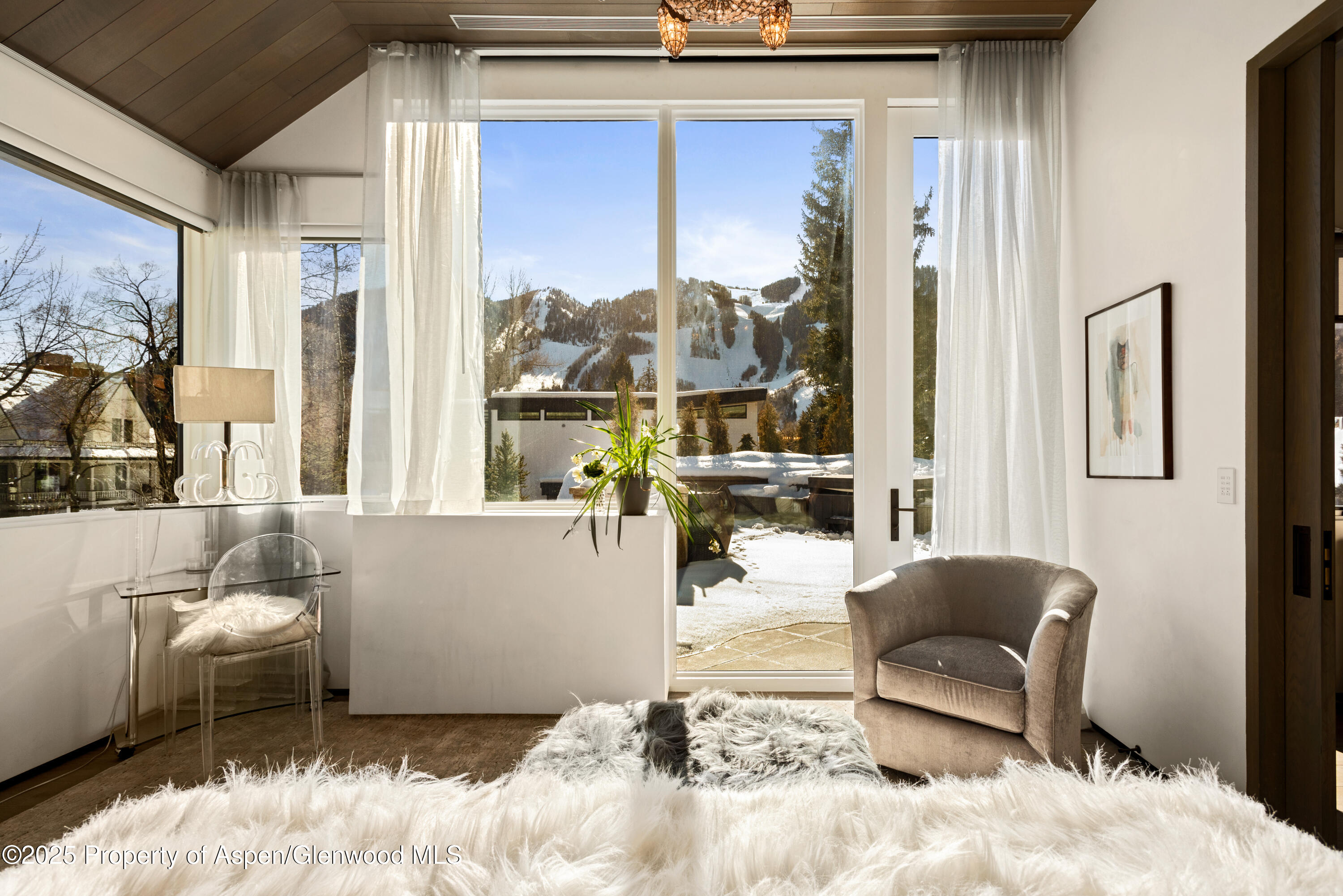 219 N Monarch Street, Aspen