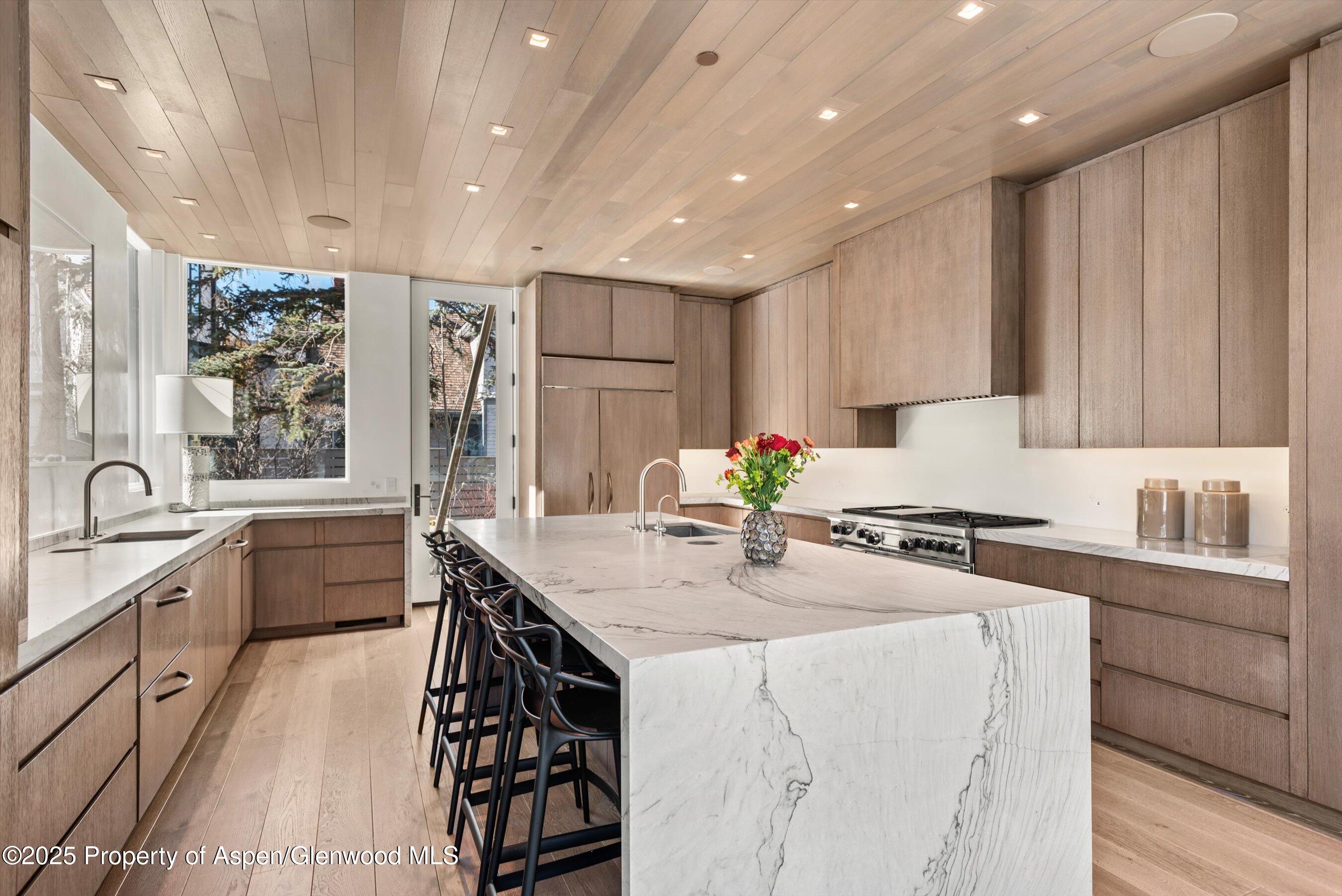 219 N Monarch Street, Aspen