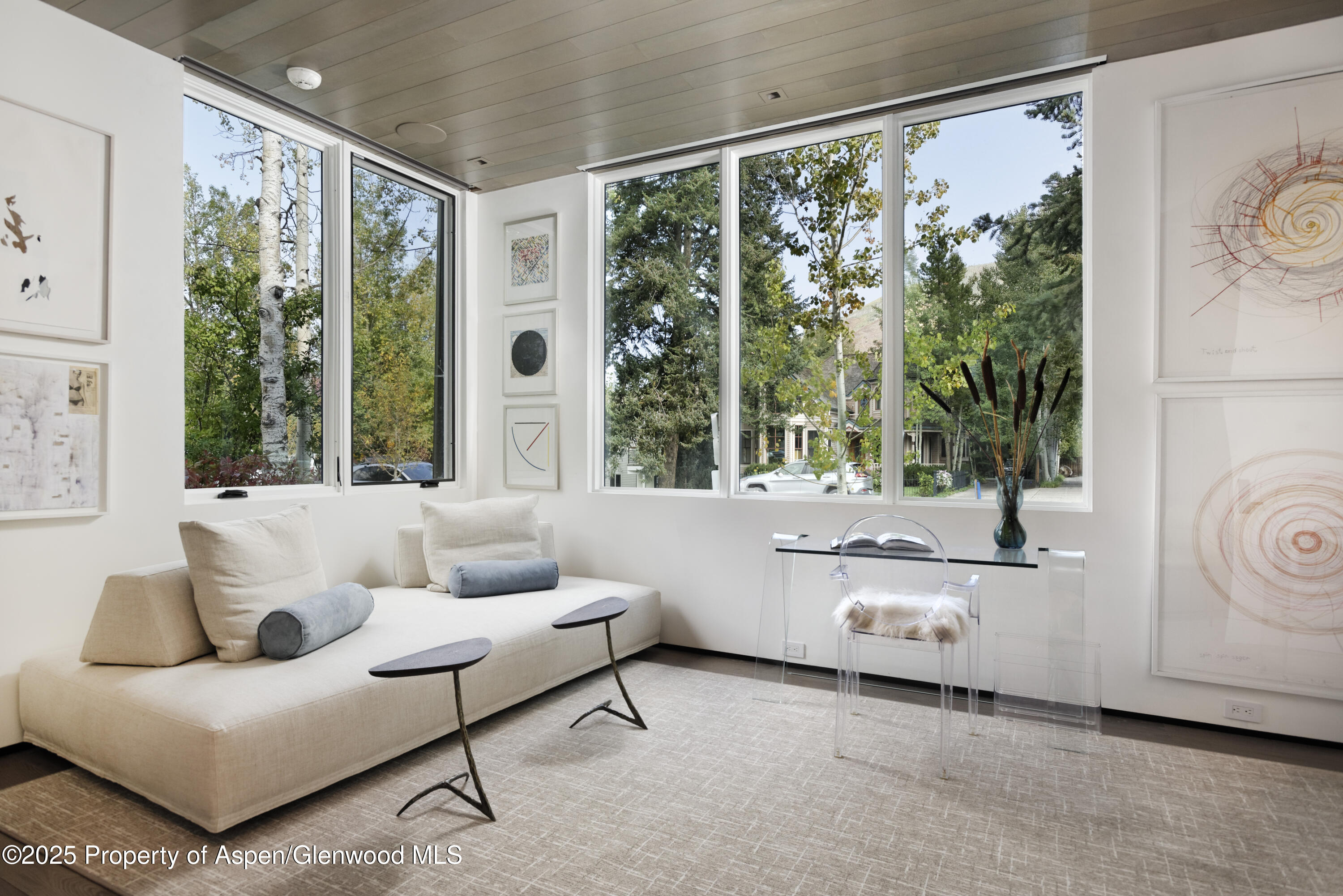 219 N Monarch Street, Aspen