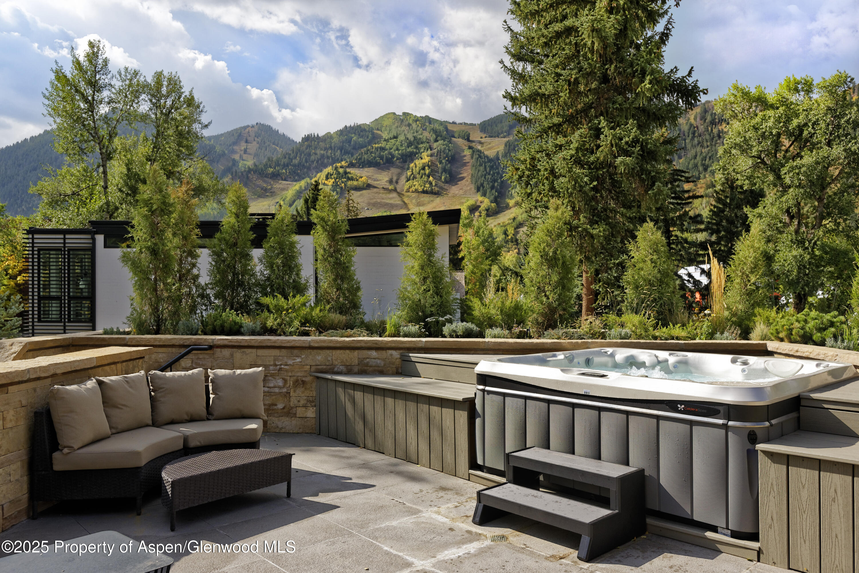 219 N Monarch Street, Aspen