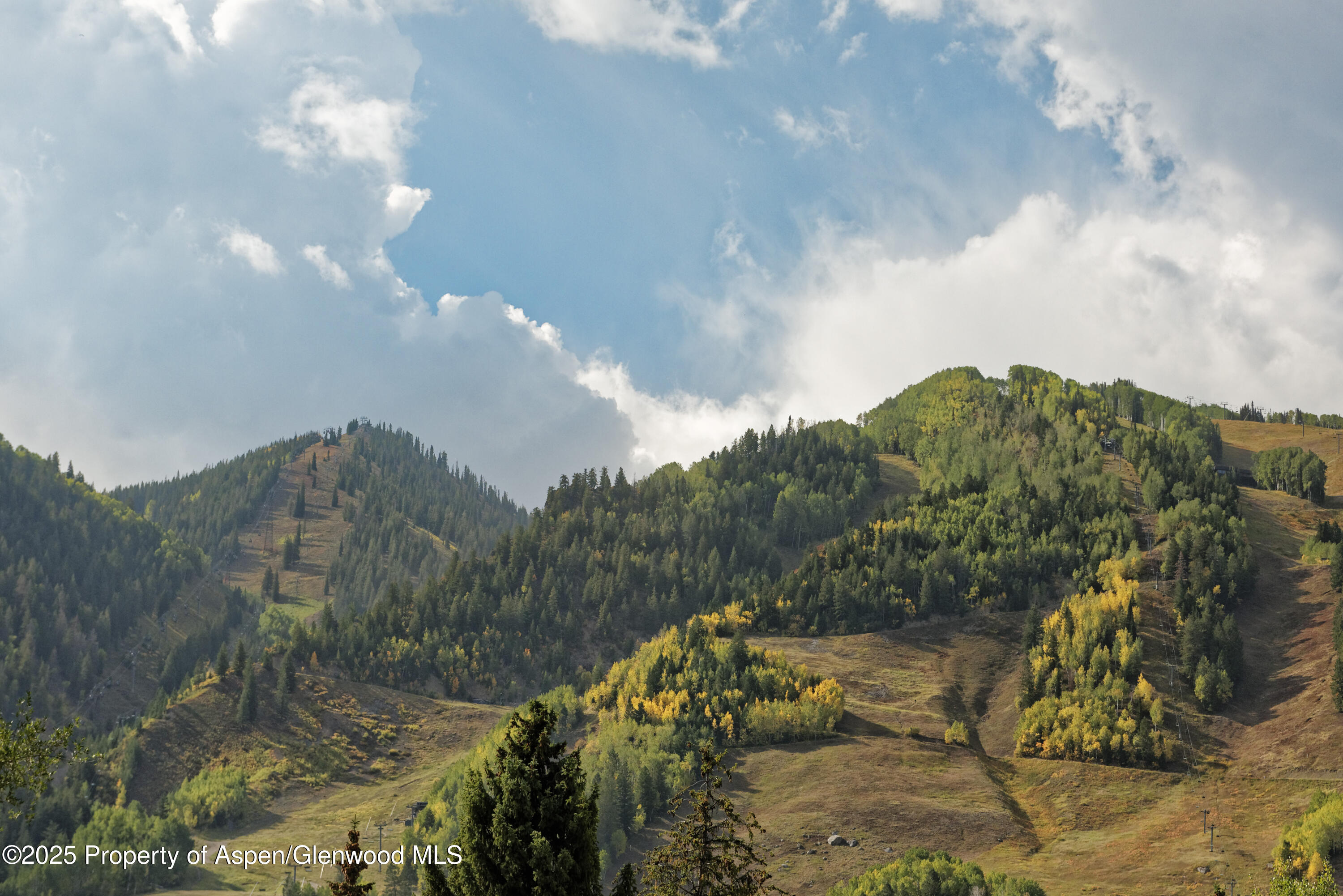 219 N Monarch Street, Aspen