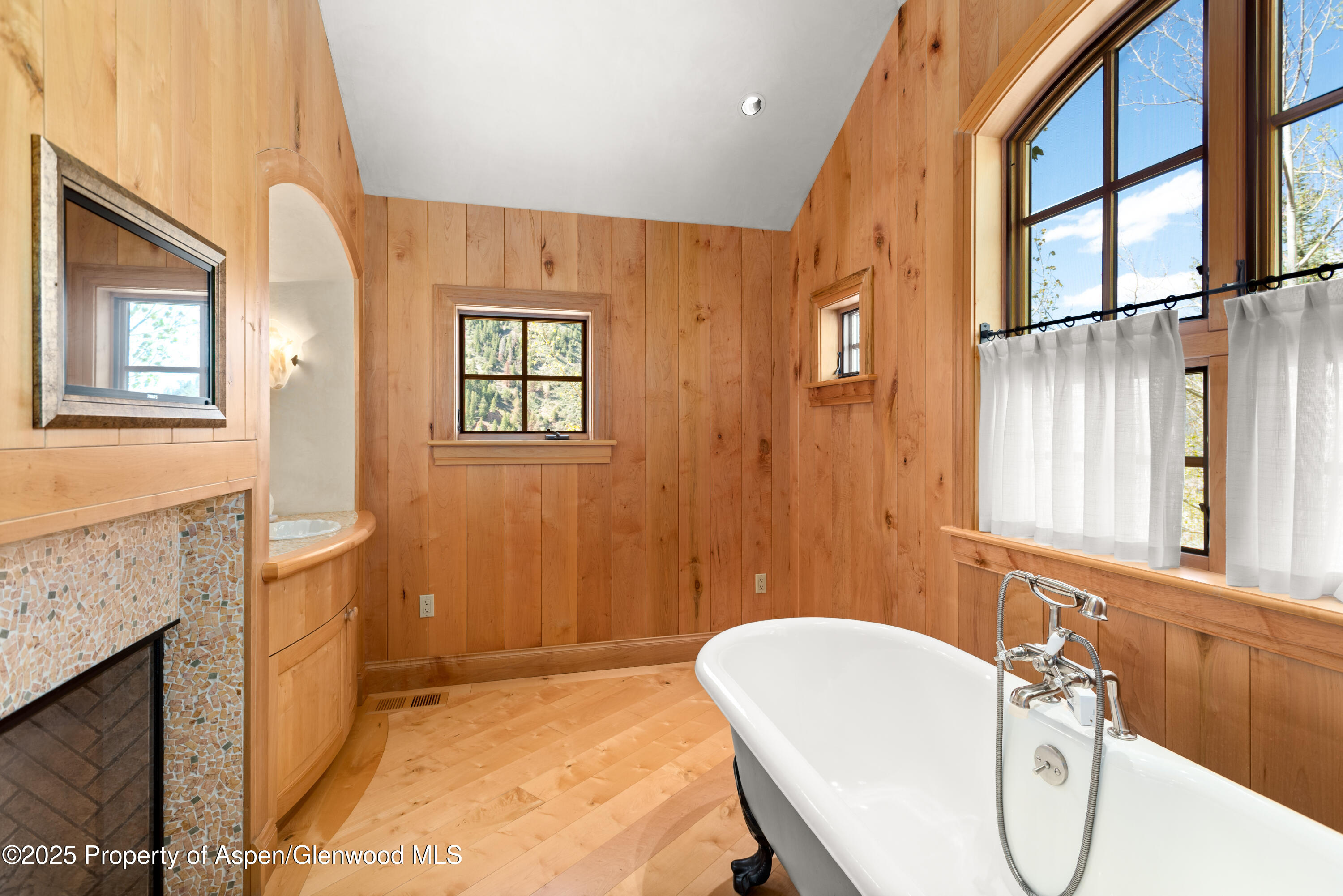 388 Exhibition Lane, Aspen