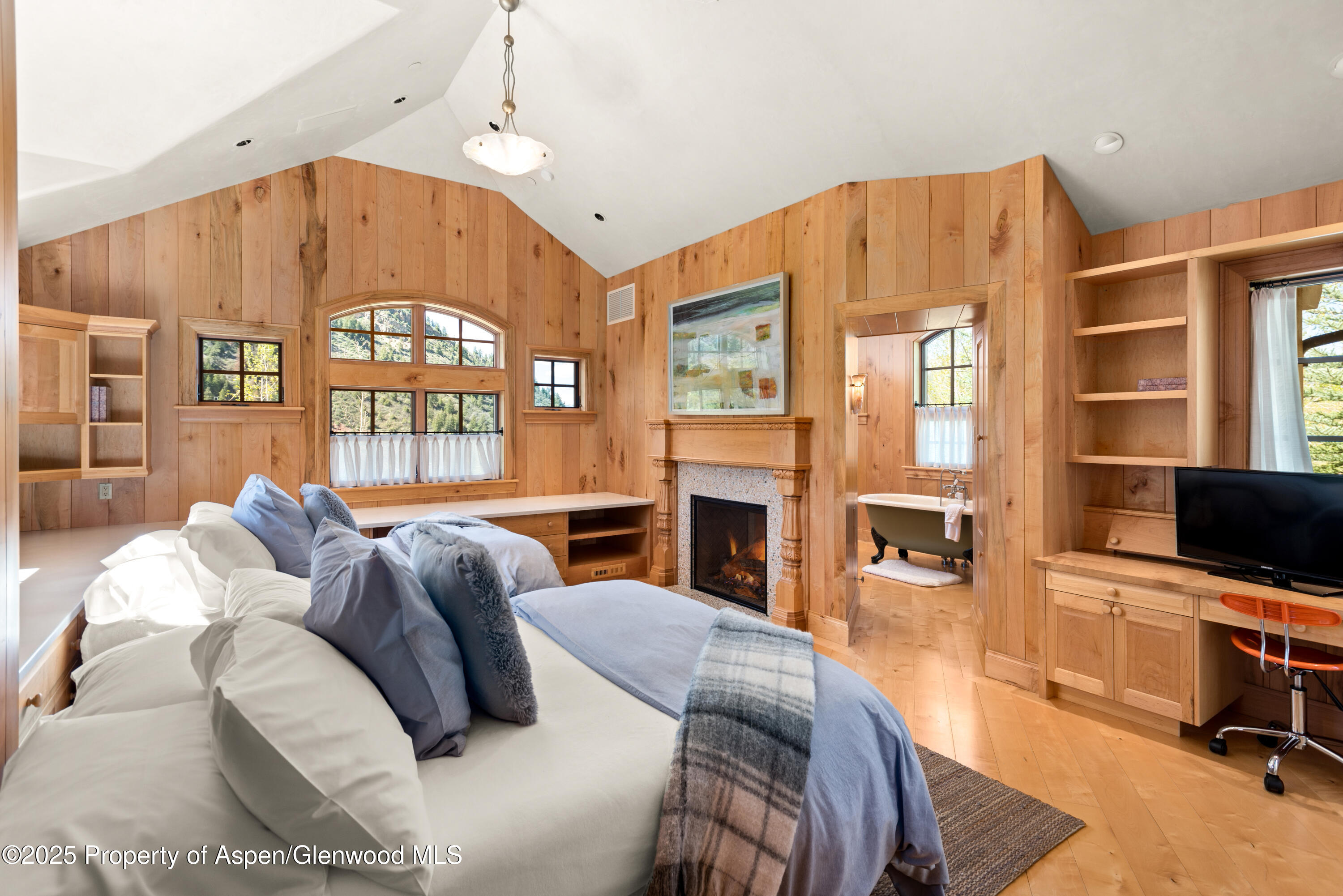 388 Exhibition Lane, Aspen