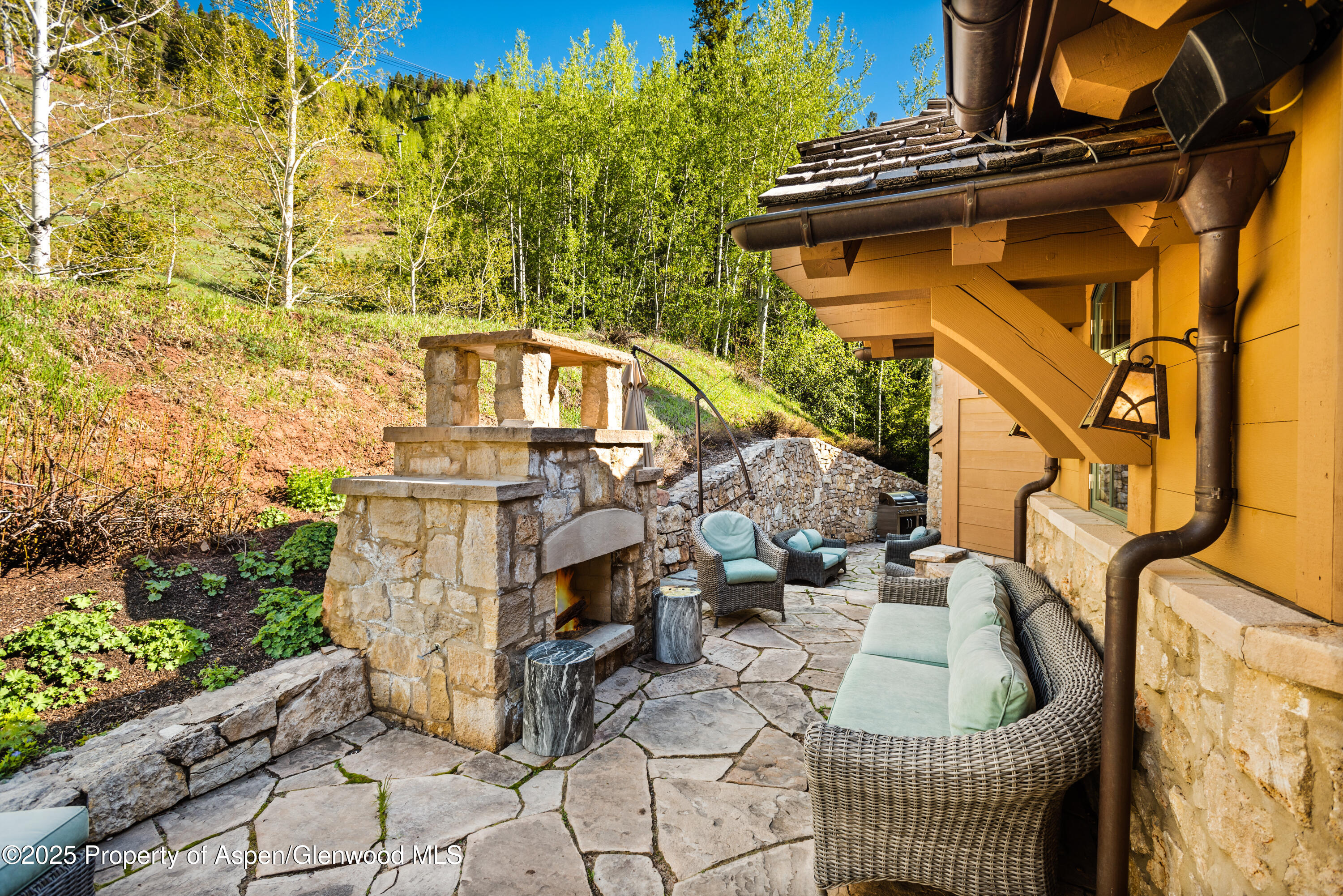 388 Exhibition Lane, Aspen