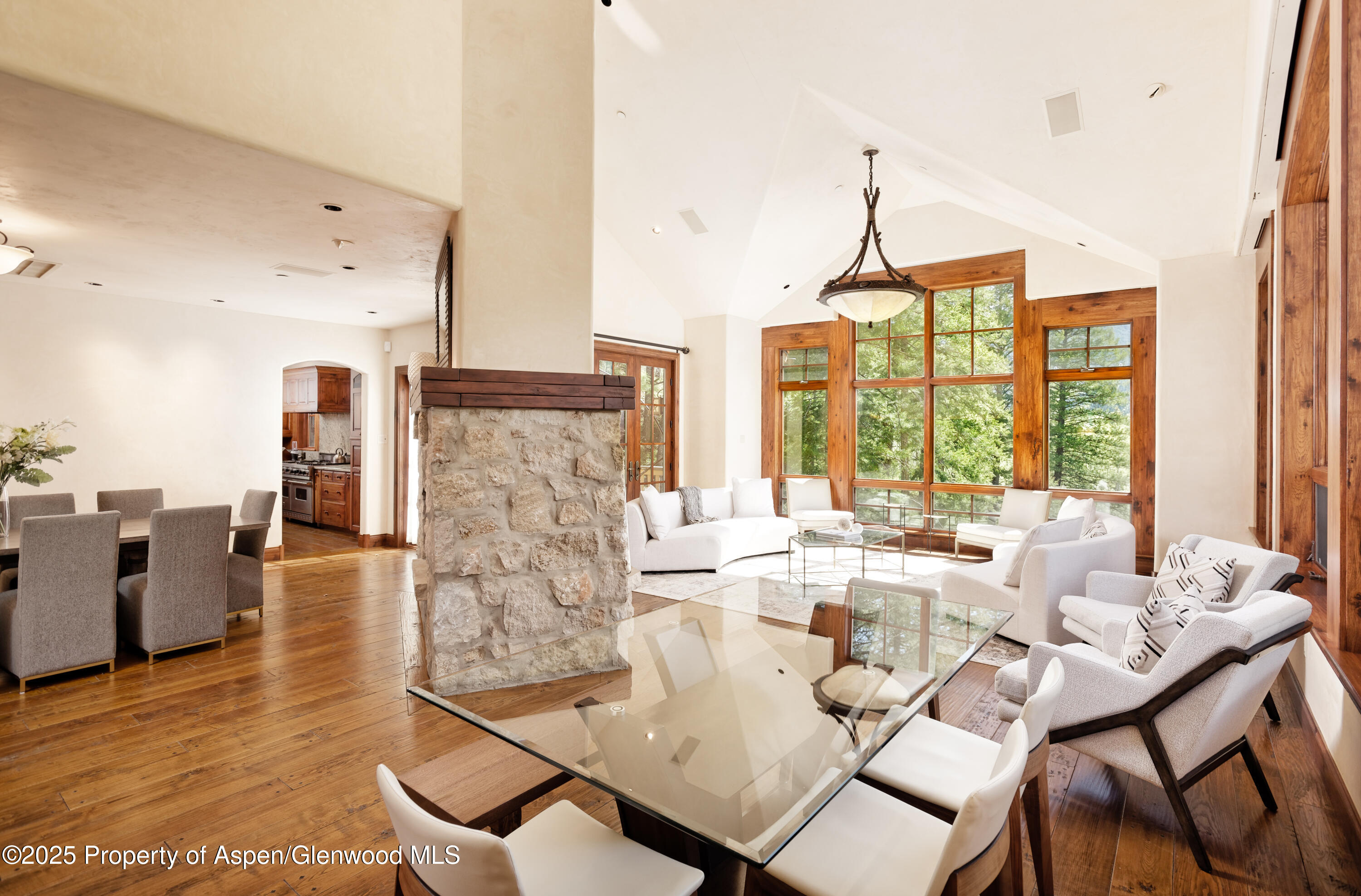 388 Exhibition Lane, Aspen