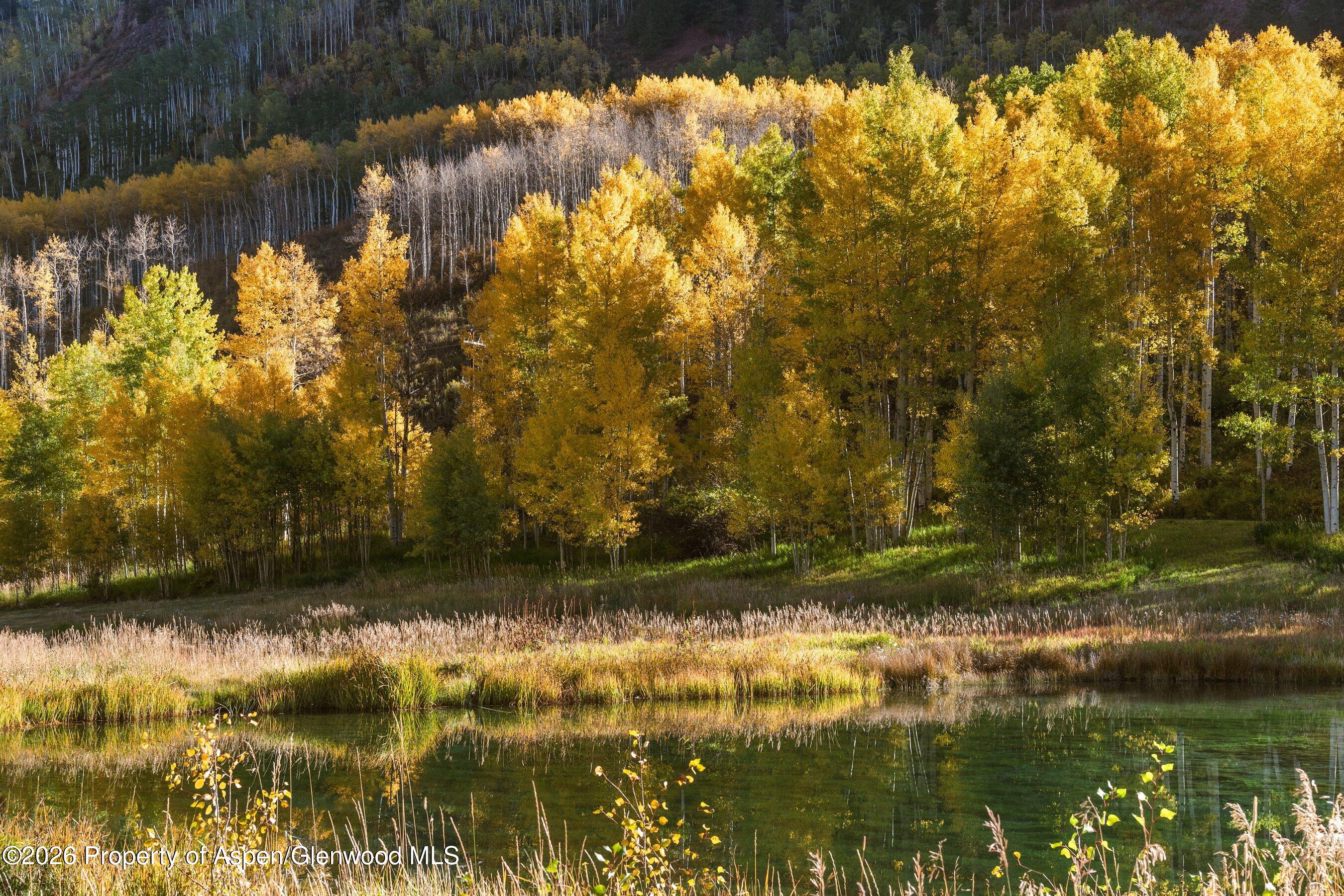 5387 Castle Creek Road