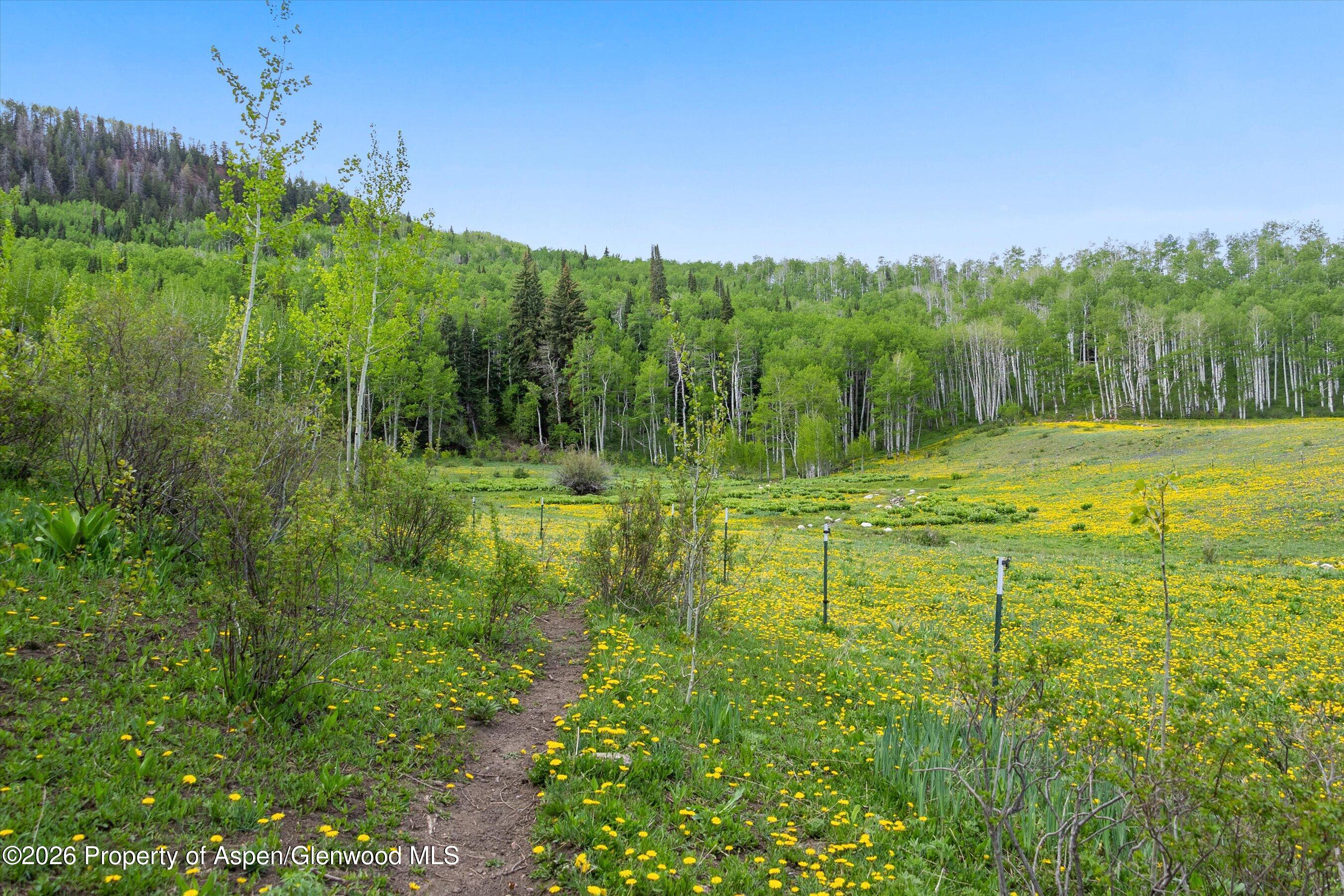 6855 Capitol Creek Road