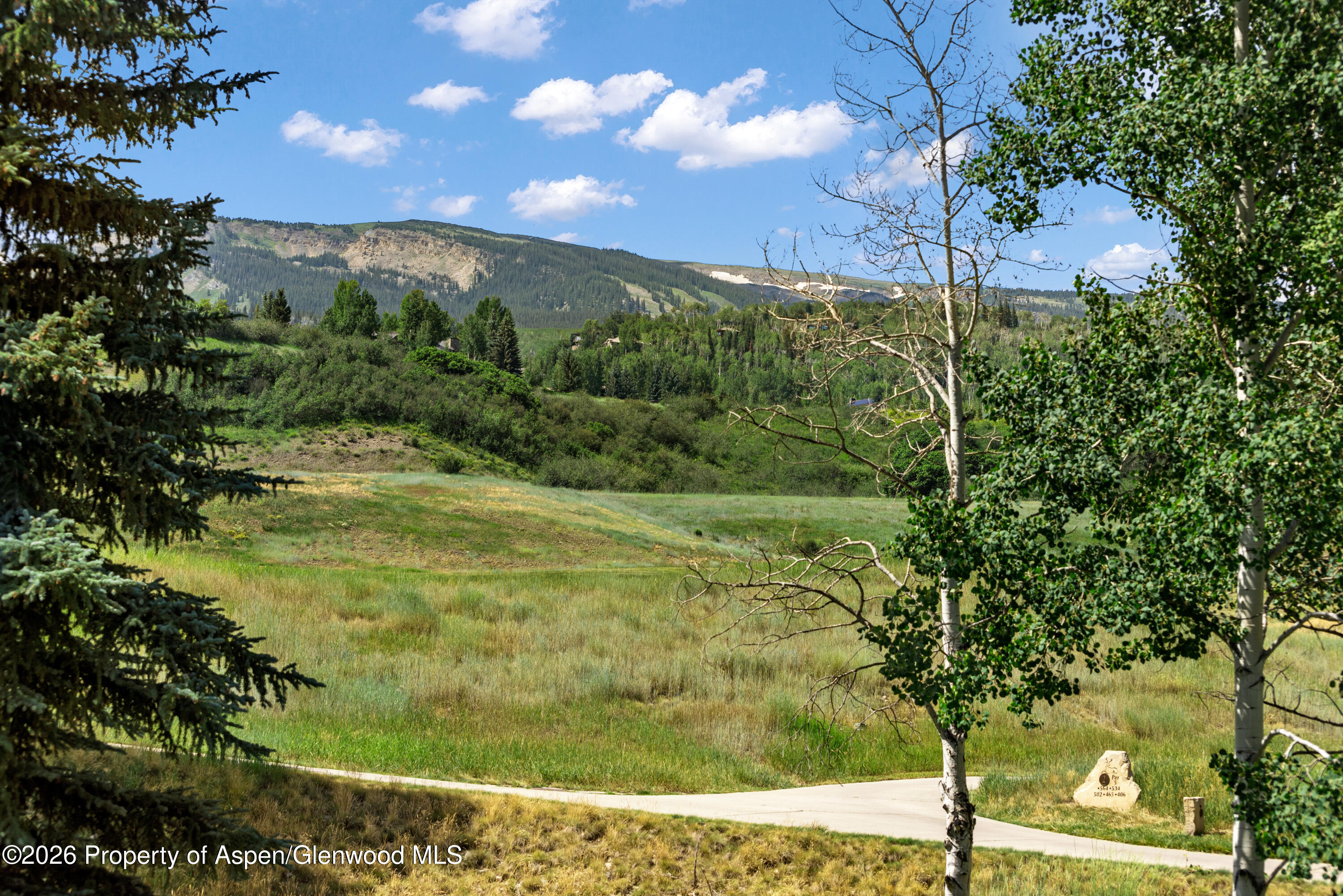 294 Snowmass Club Circle 1209