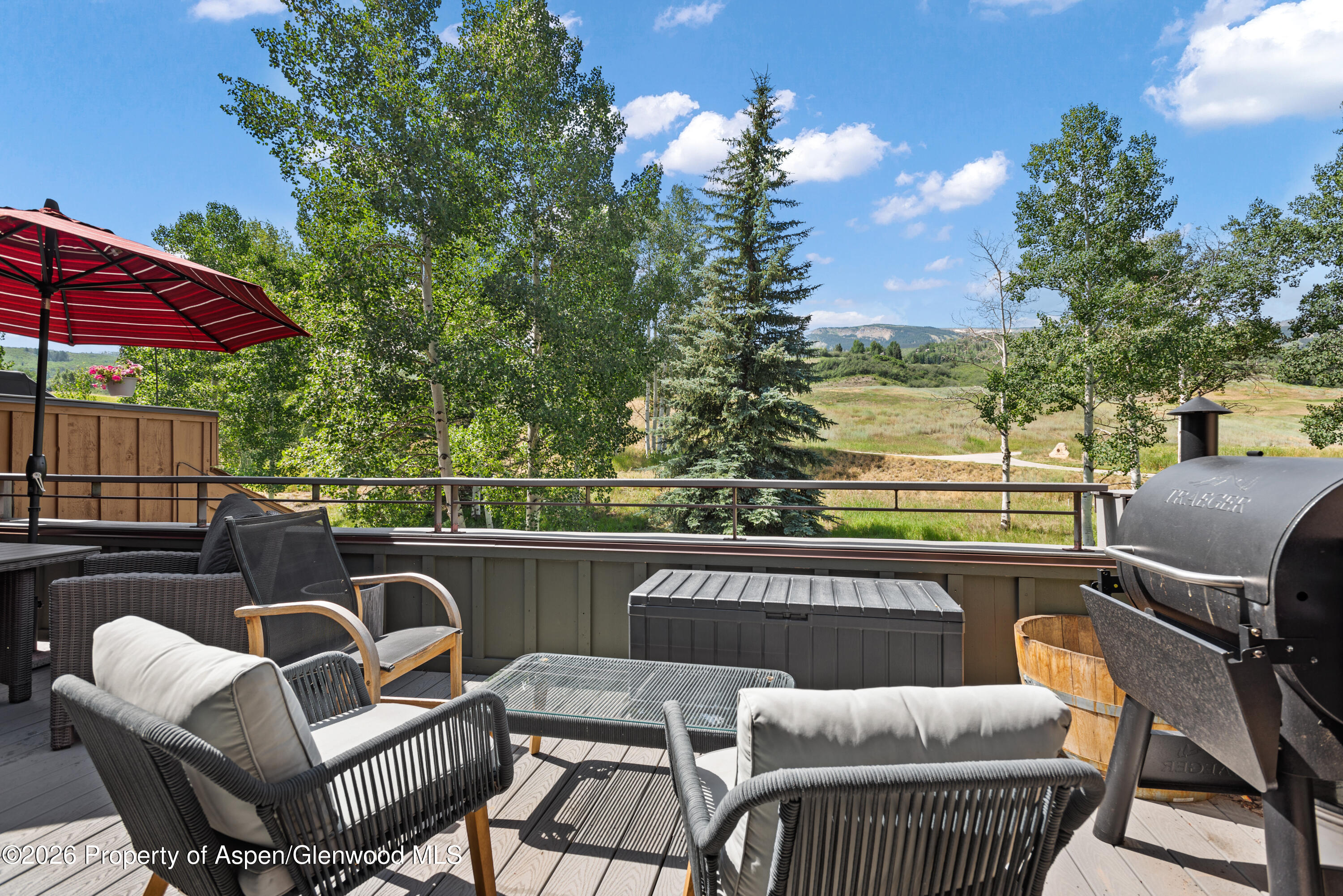 294 Snowmass Club Circle 1209