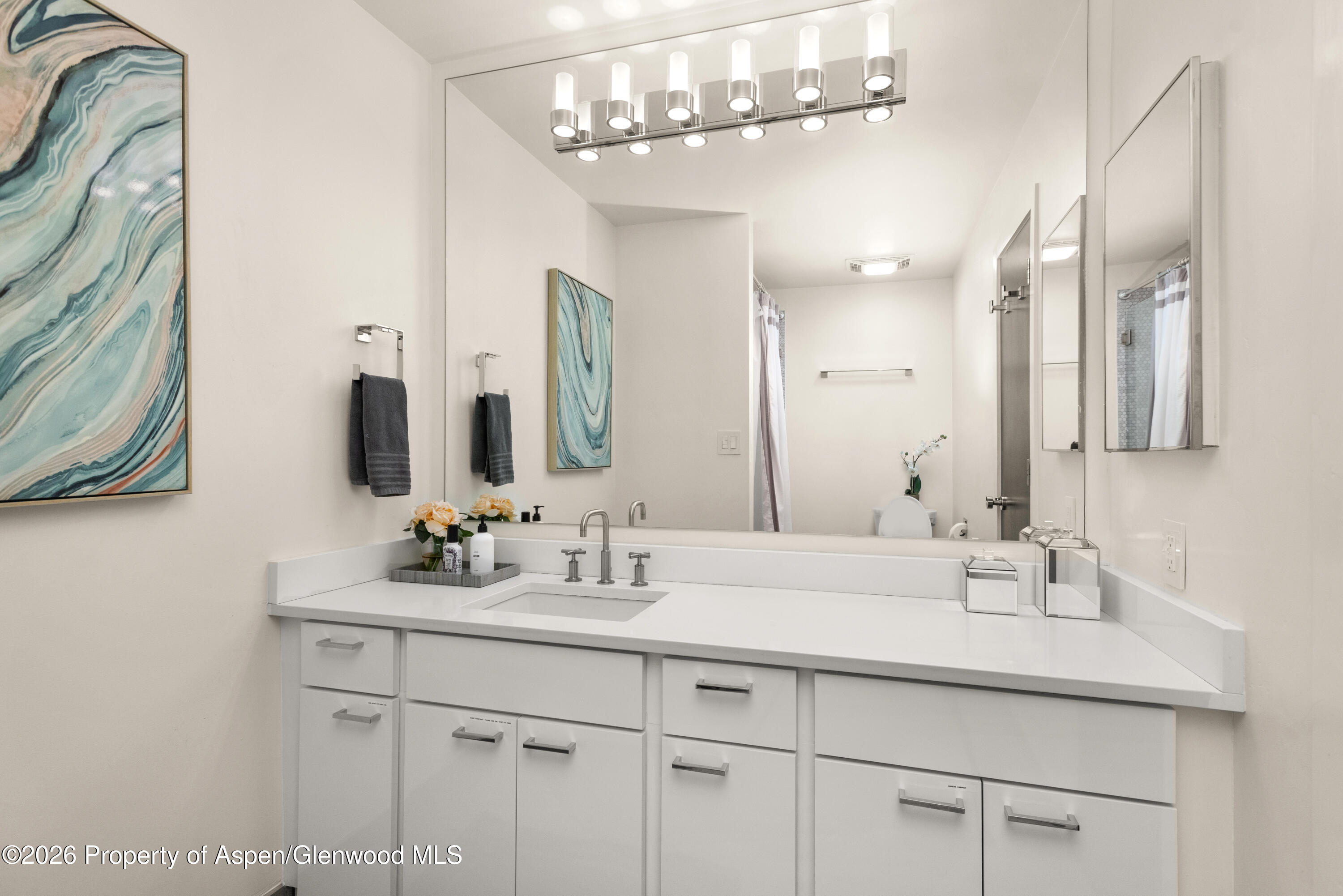 294 Snowmass Club Circle 1209