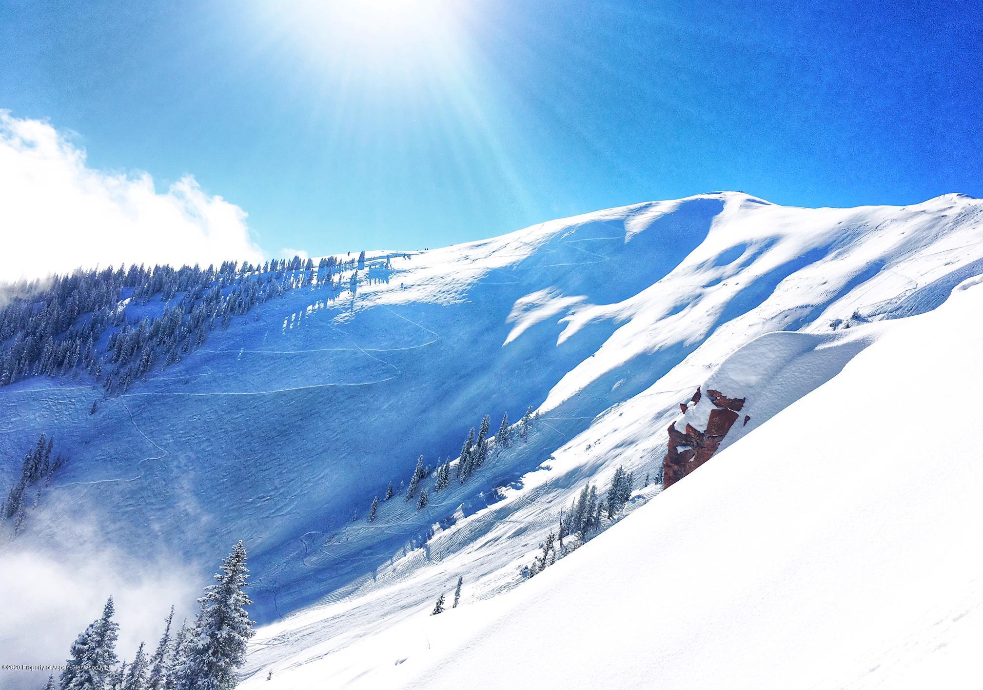 3904 Brush Creek Road #9