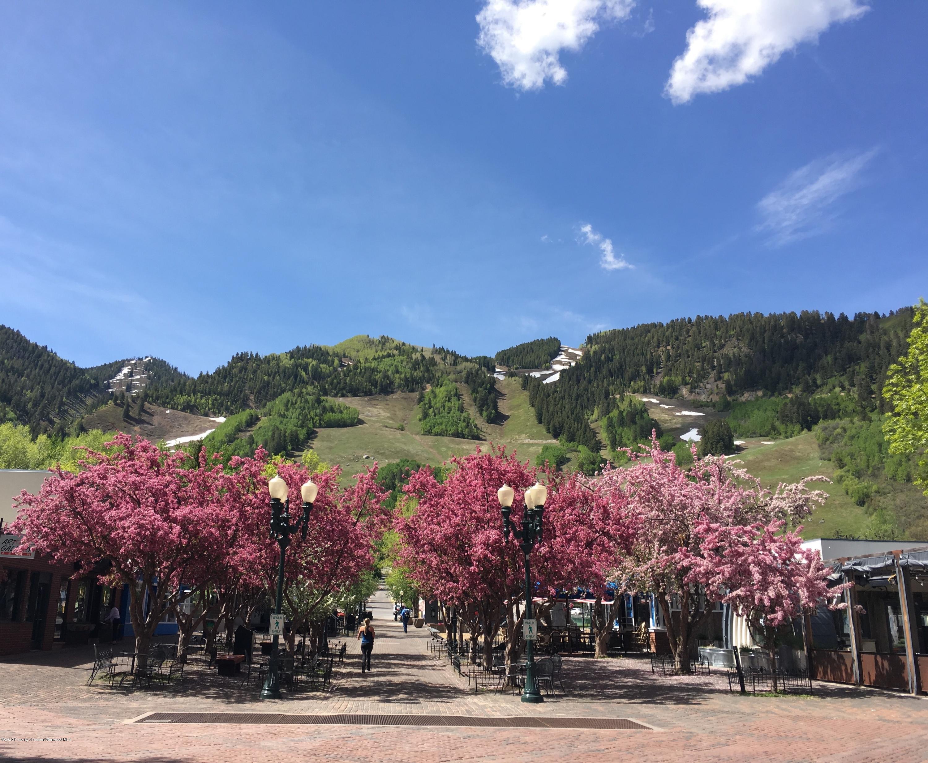 3904 Brush Creek Road #9