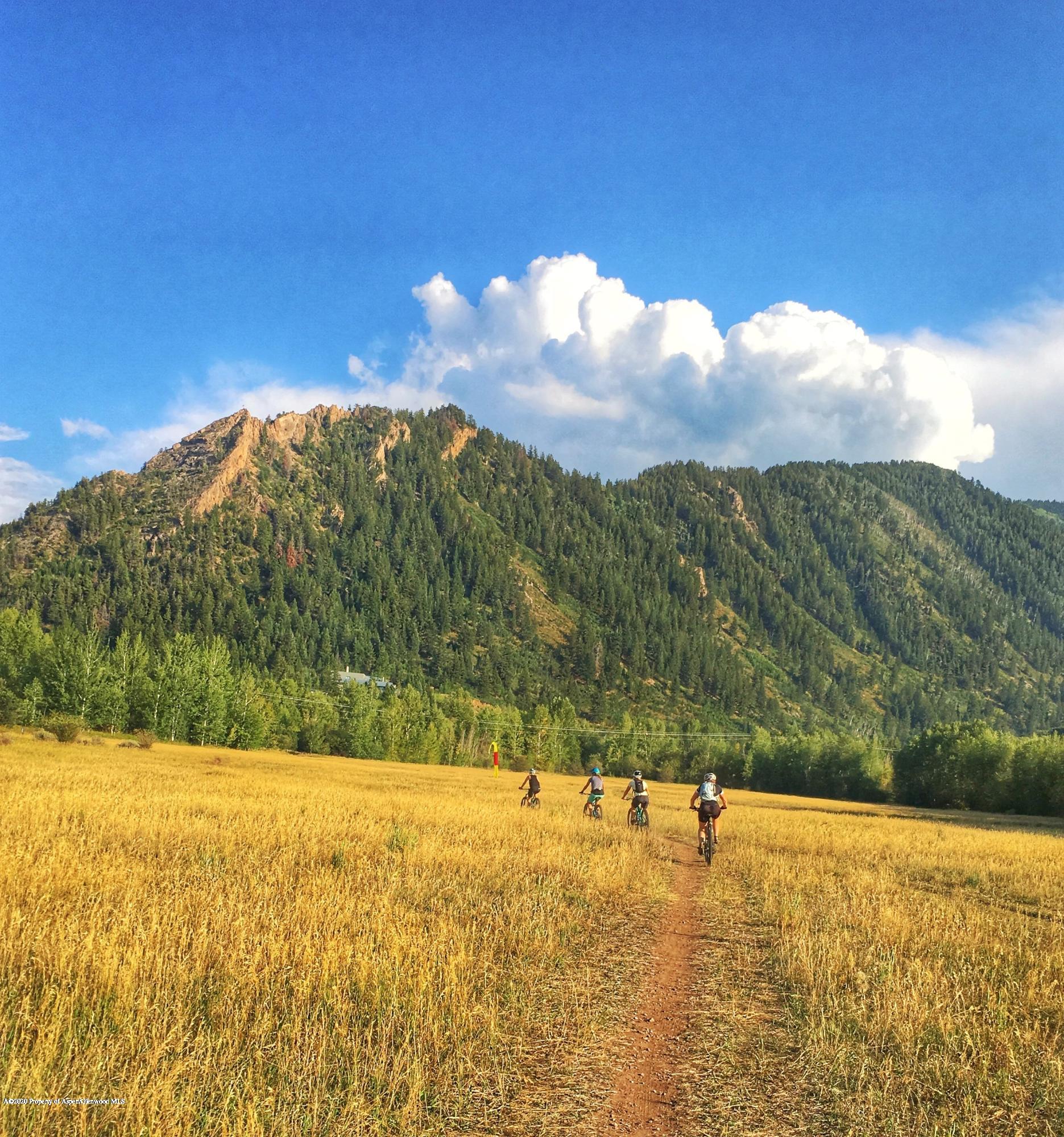 3904 Brush Creek Road #9