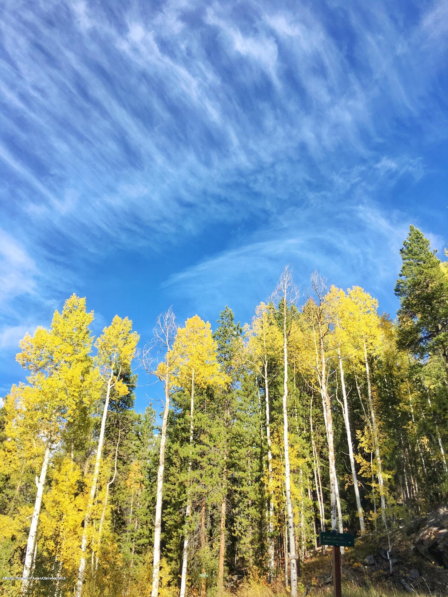 3904 Brush Creek Road #9