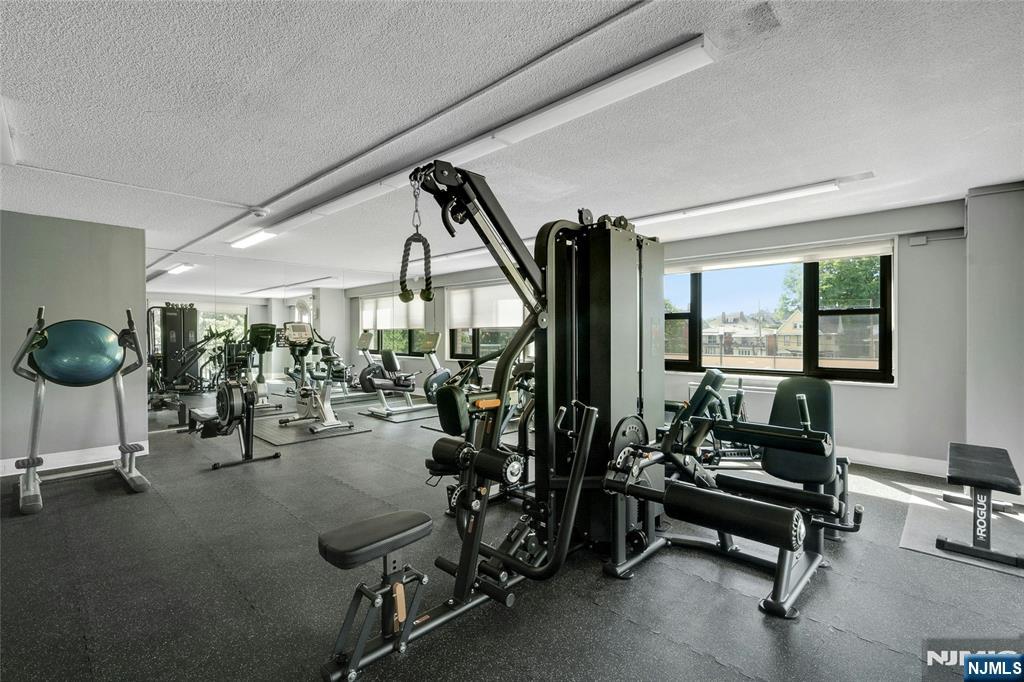 7855 Boulevard East 5K
