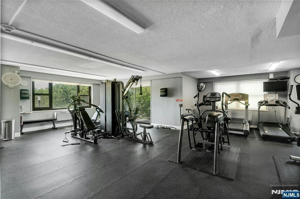 7855 Boulevard East 5K
