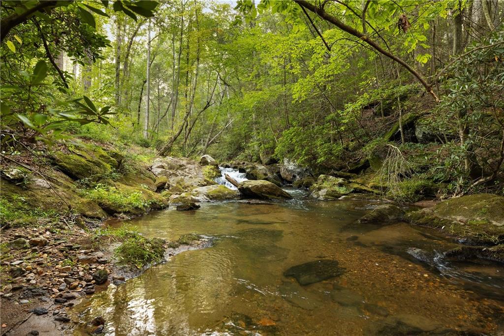 4864 Black Mountain Road