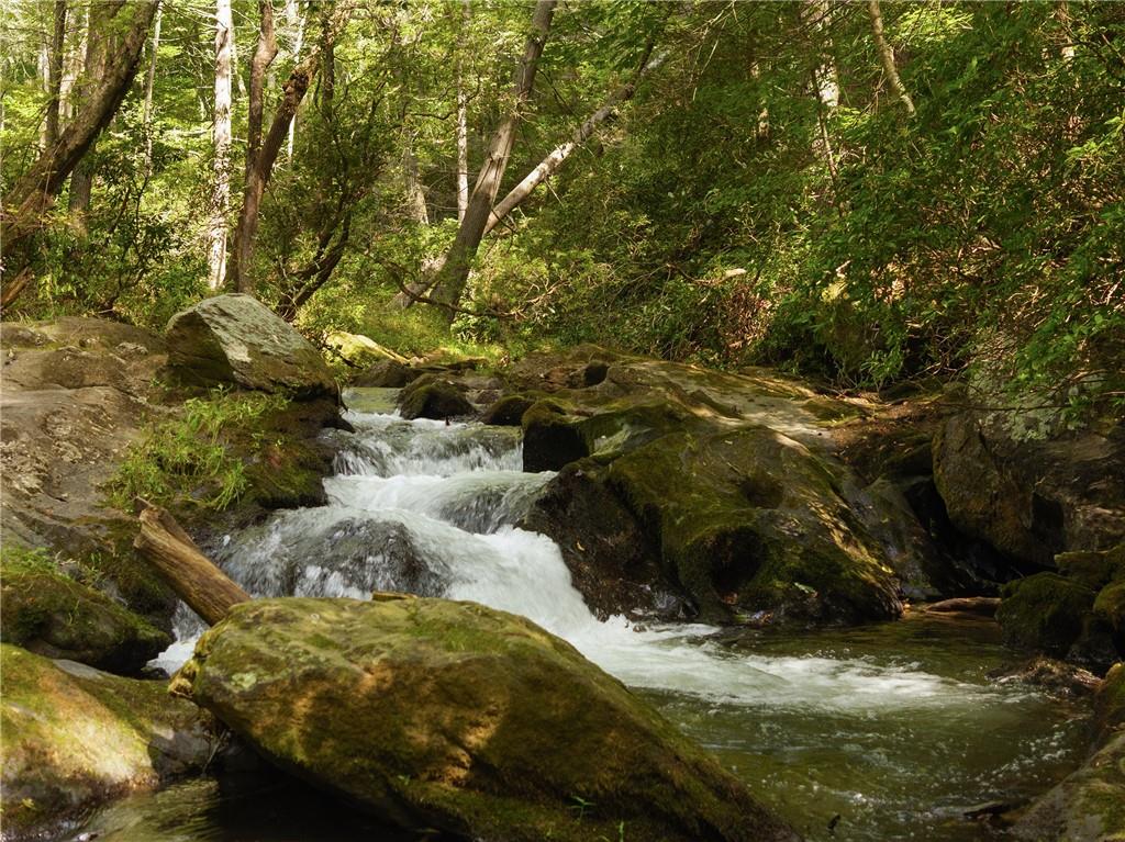 4864 Black Mountain Road