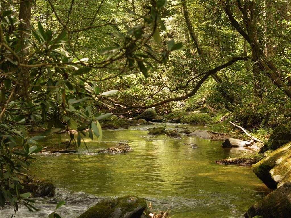 4864 Black Mountain Road