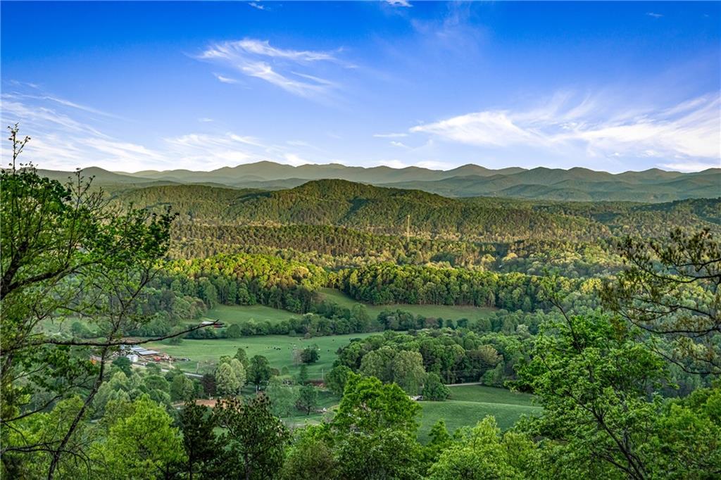 60 Jackies Bluff Road