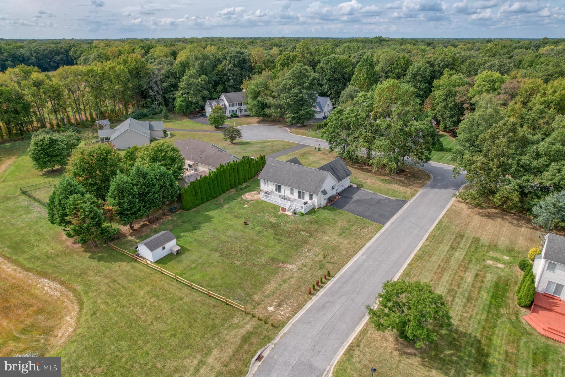 207 TALL TREE COURT