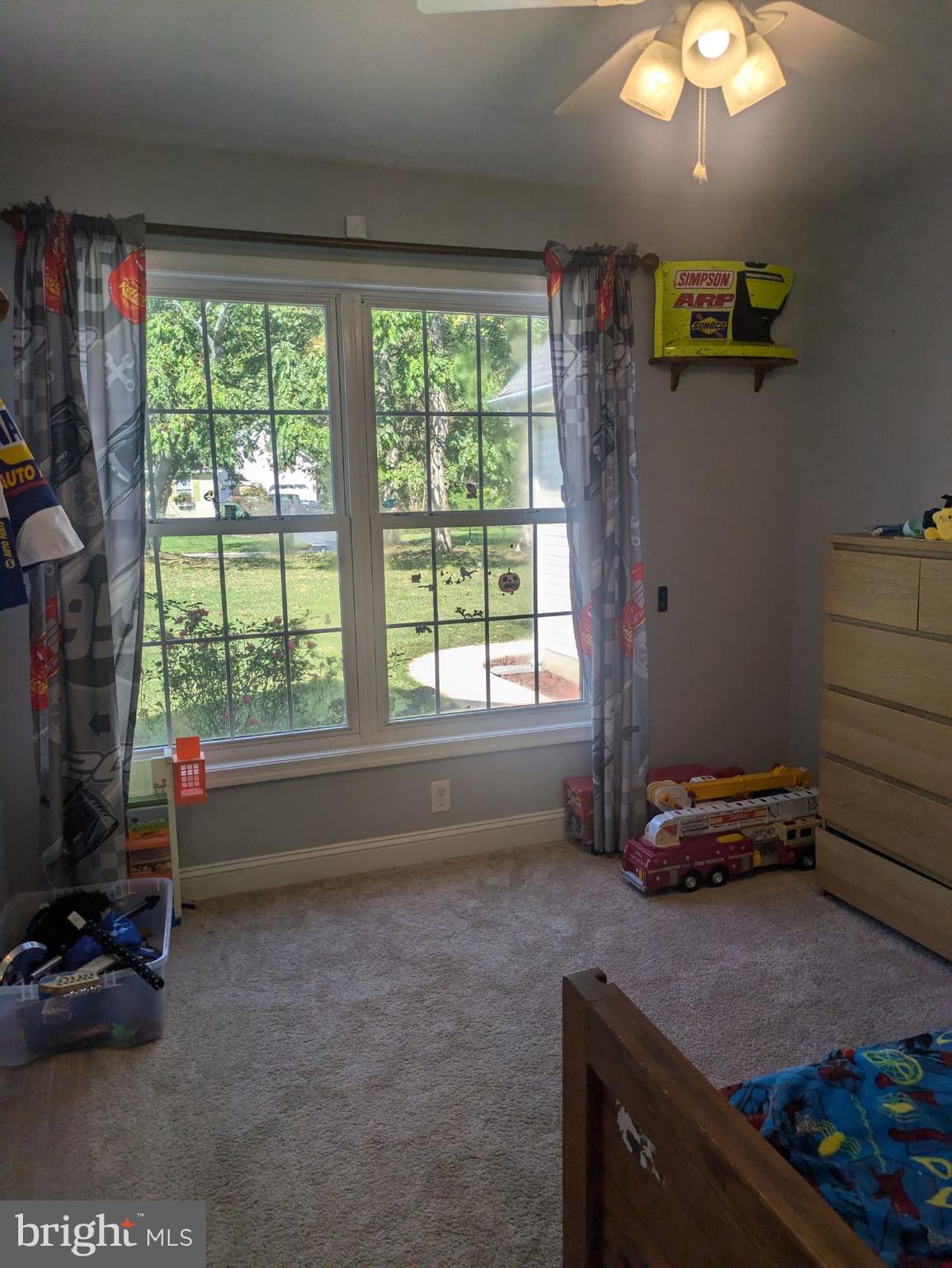 207 TALL TREE COURT